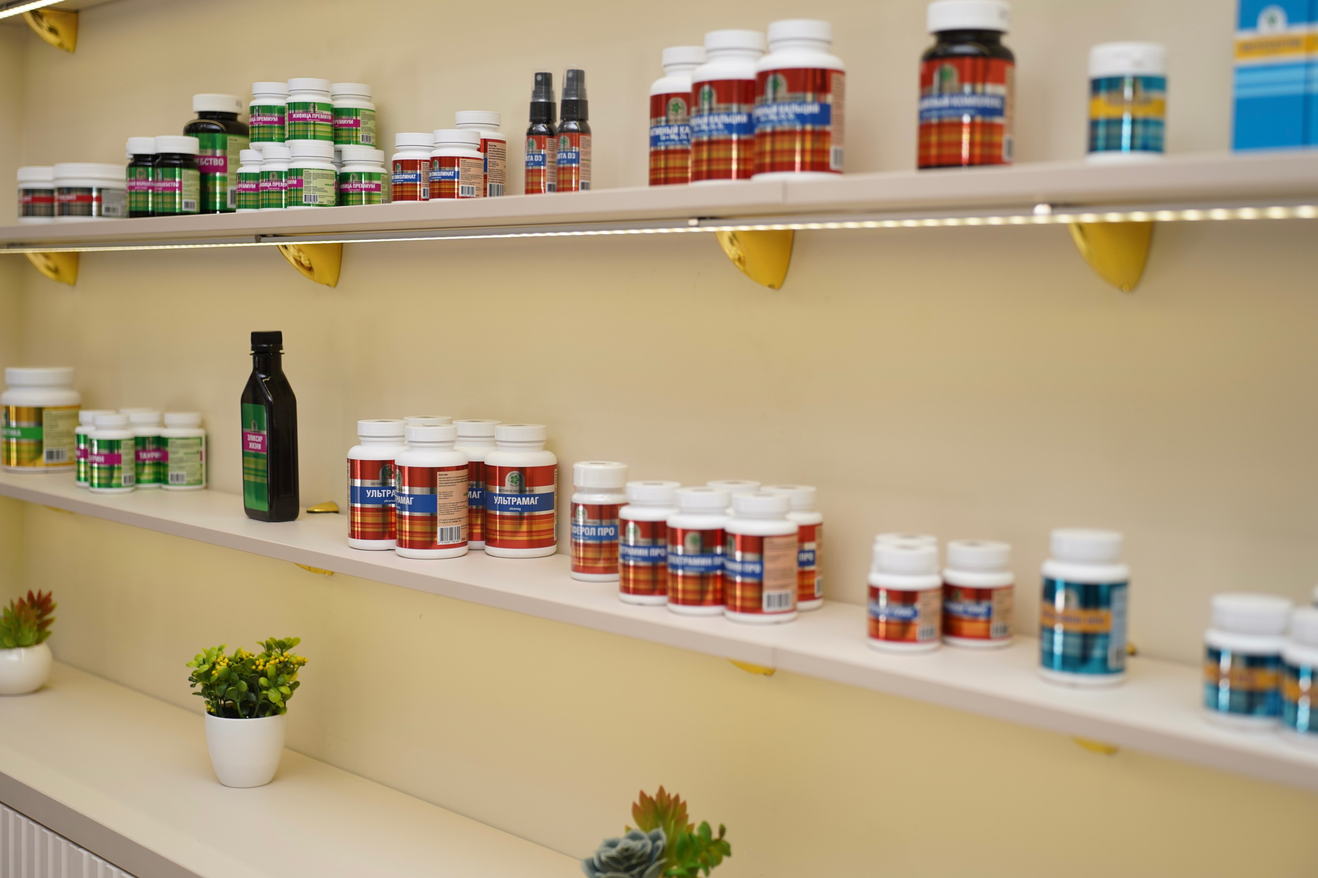 Центр нутрициологии и здорового питания. Фотограф Новороссийск | Геленджик и ЮФО Эльвина Ясинская