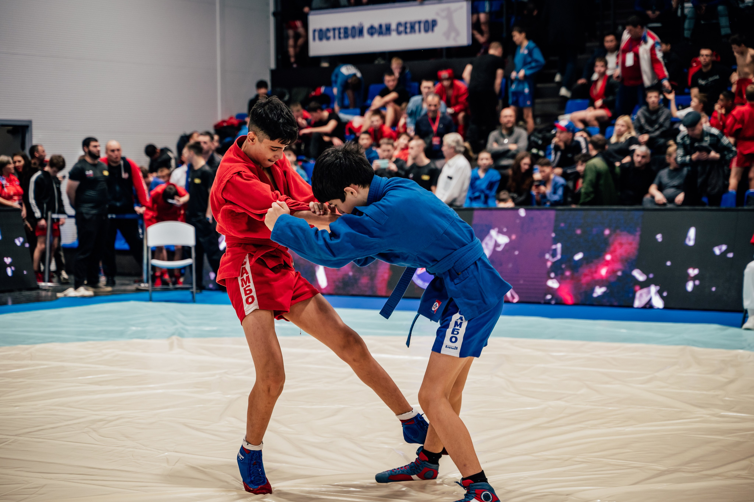 Турнир по самбо ЮФО