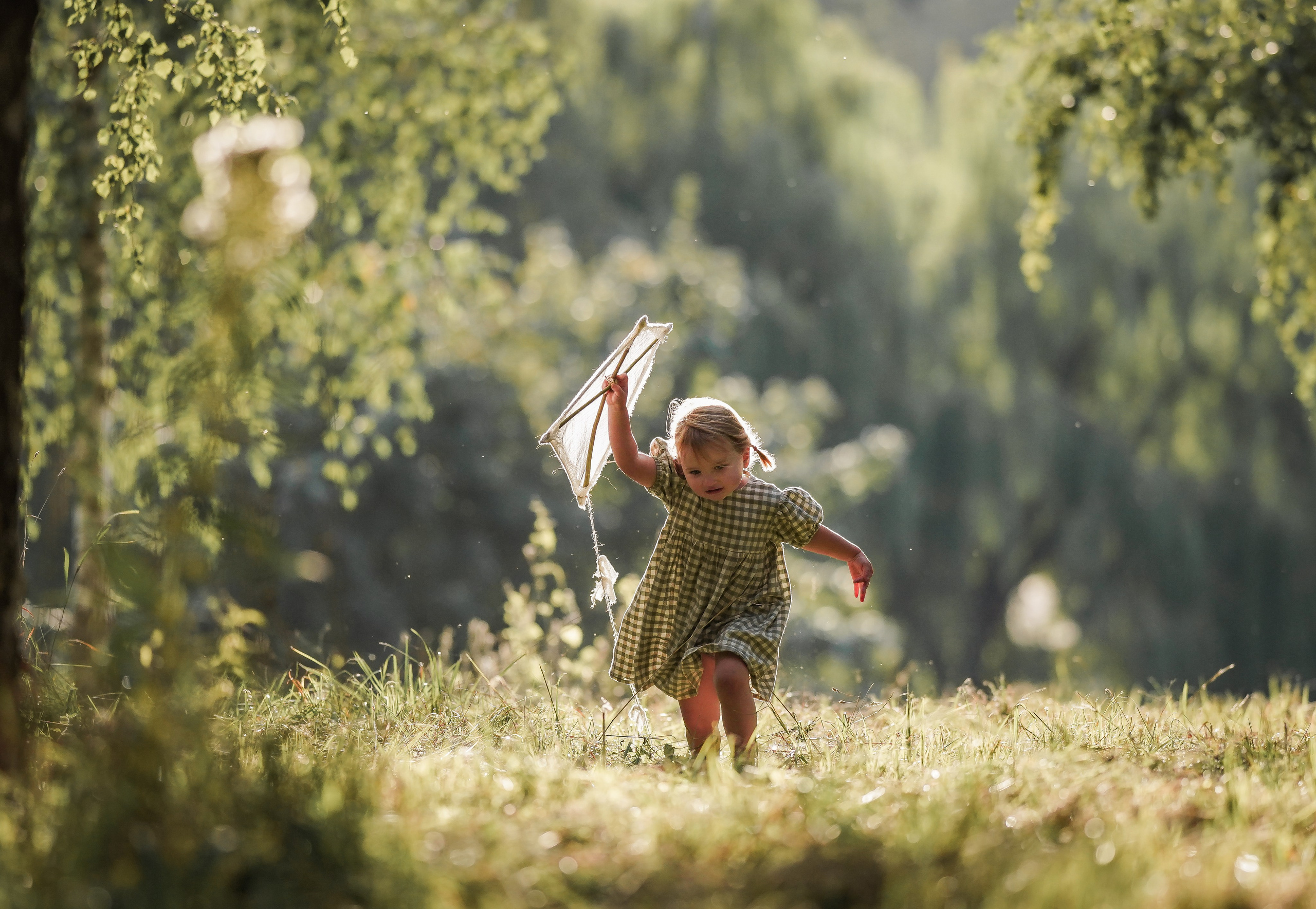 Воздушный змей. Семейный фотограф Ефремова Виктория