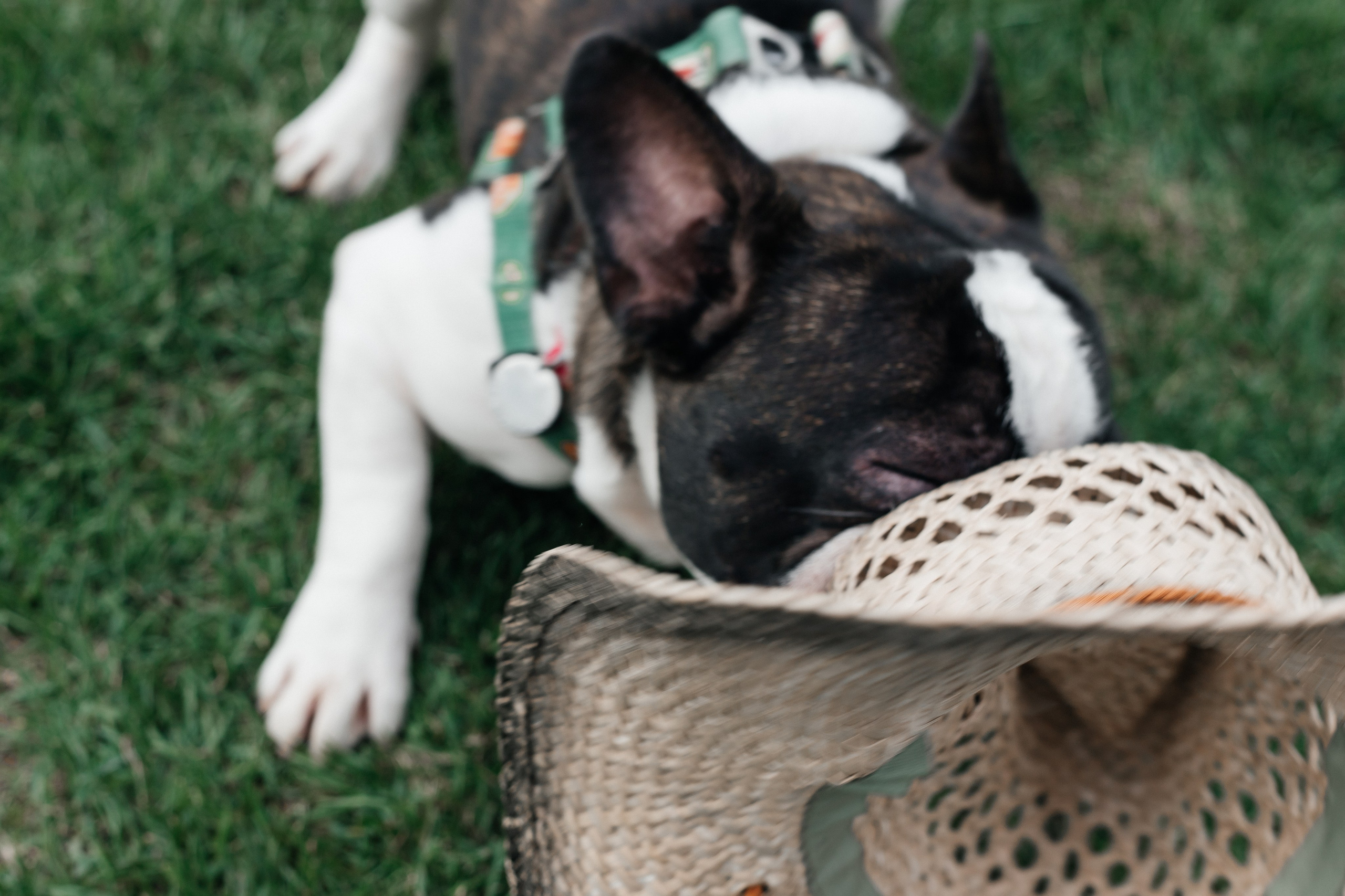 Репортаж. Свадебный фотограф в Москве Элина Ларченкова. Фото, которые цепляют