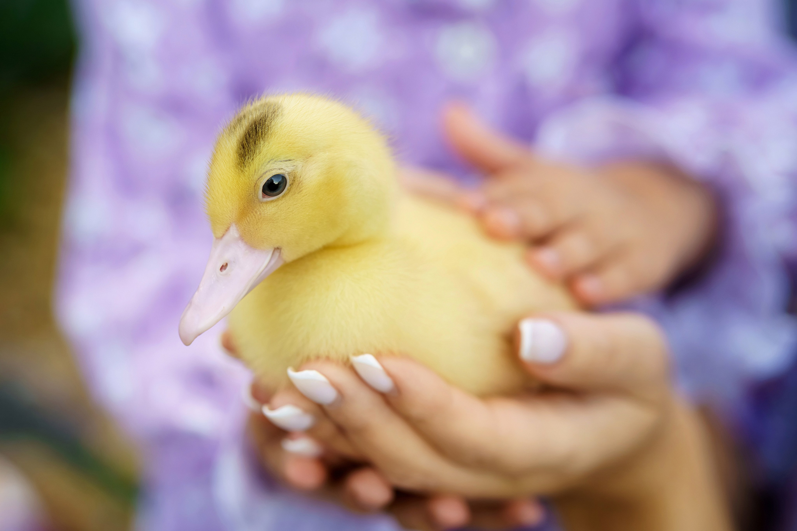 . Фотограф в Москве и Одинцово