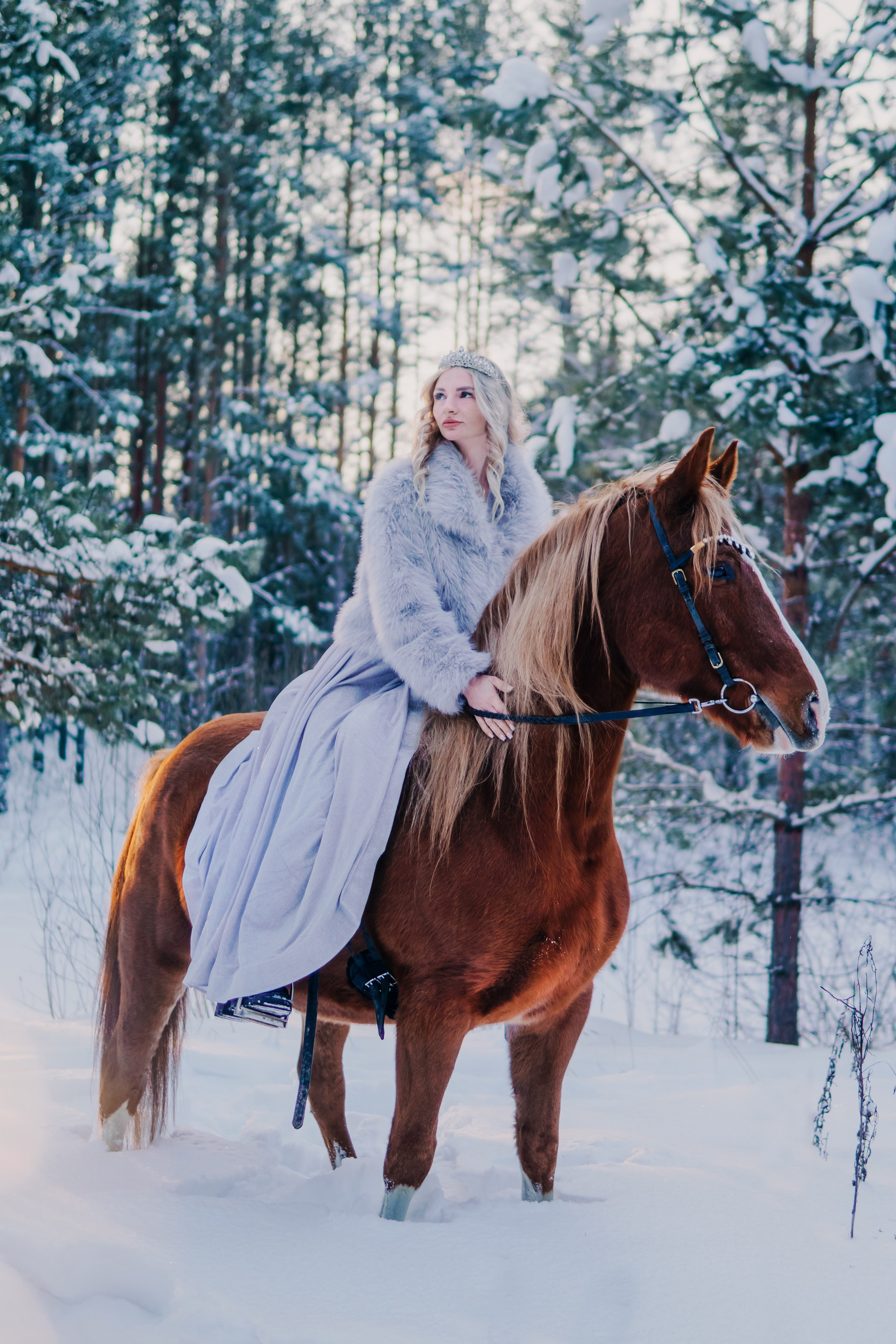 Life with horse. Saamill