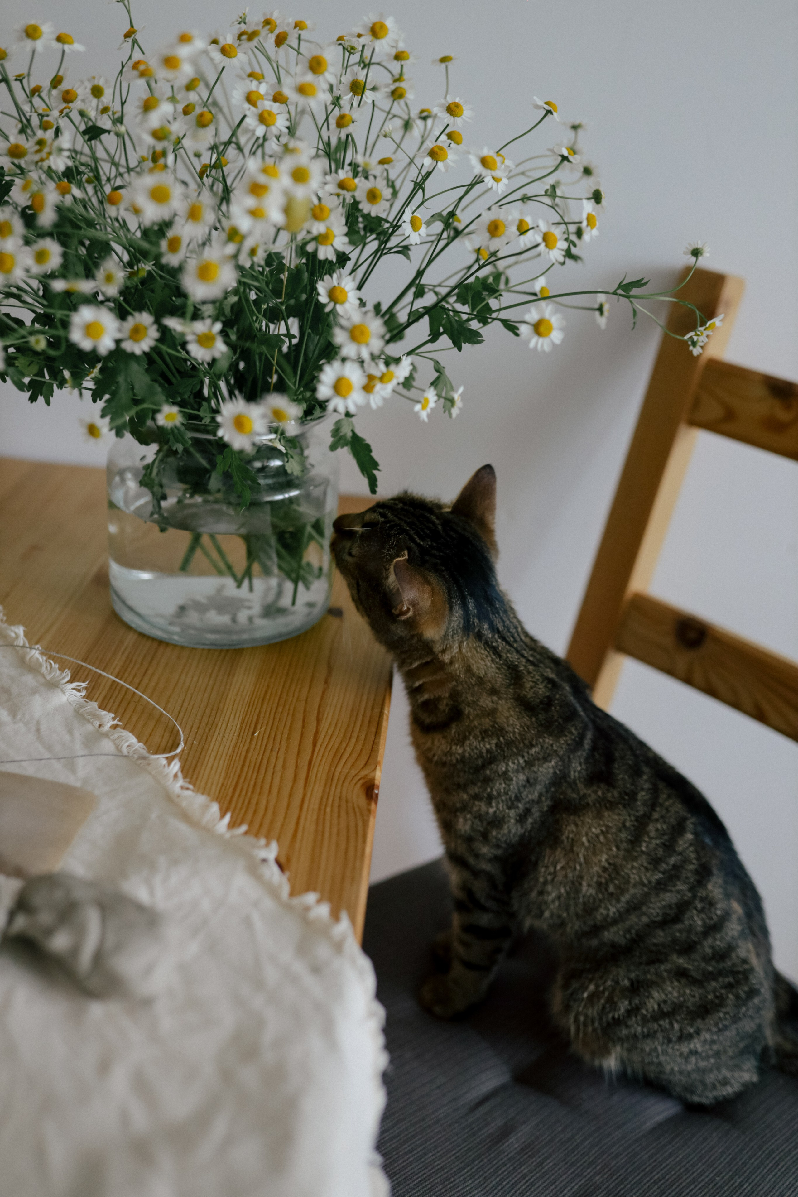 Створювати серцем. Свадебный и семейный фотограф в Варшаве