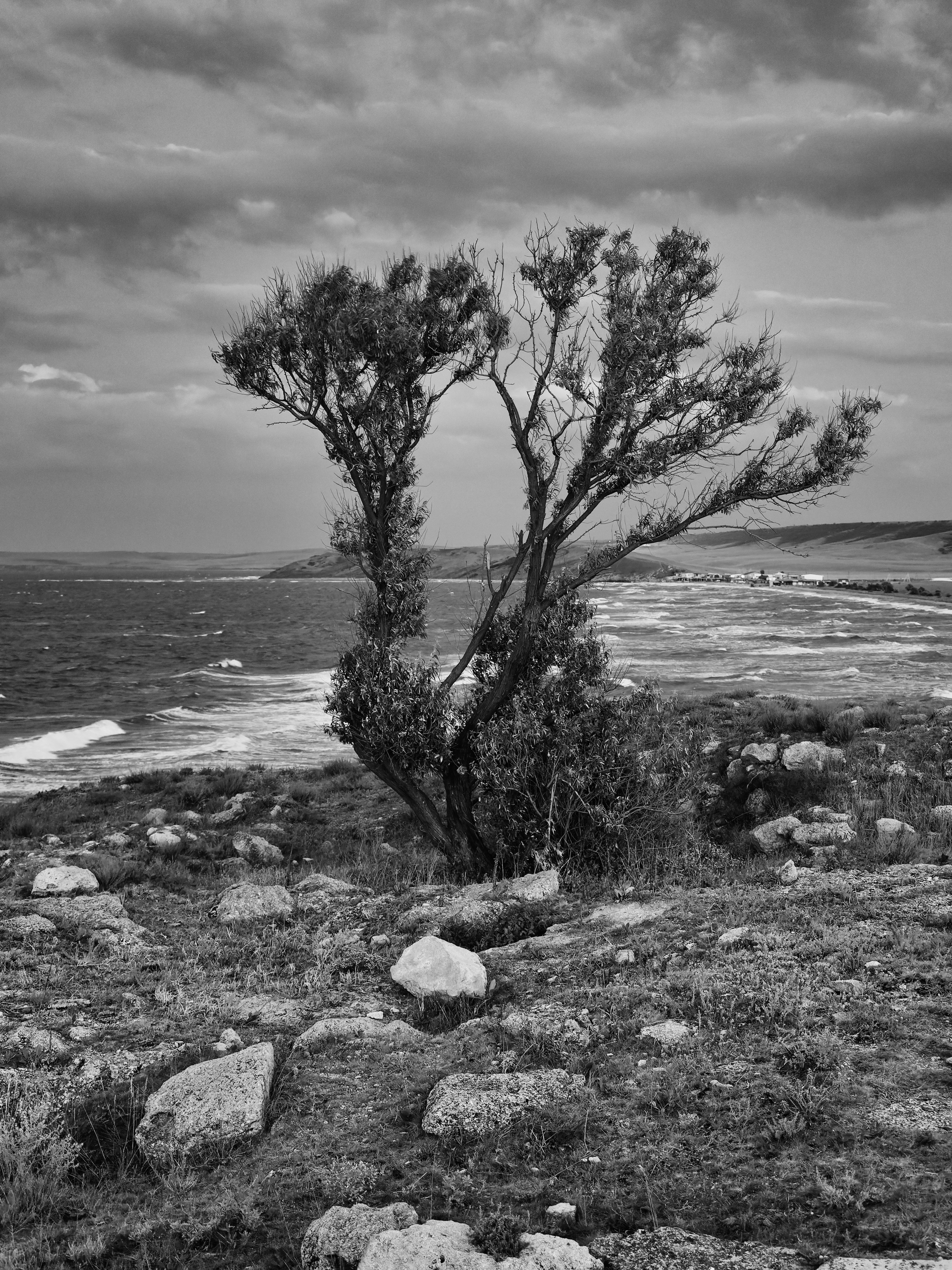 Улица и пейзаж. Oles Paritskiy