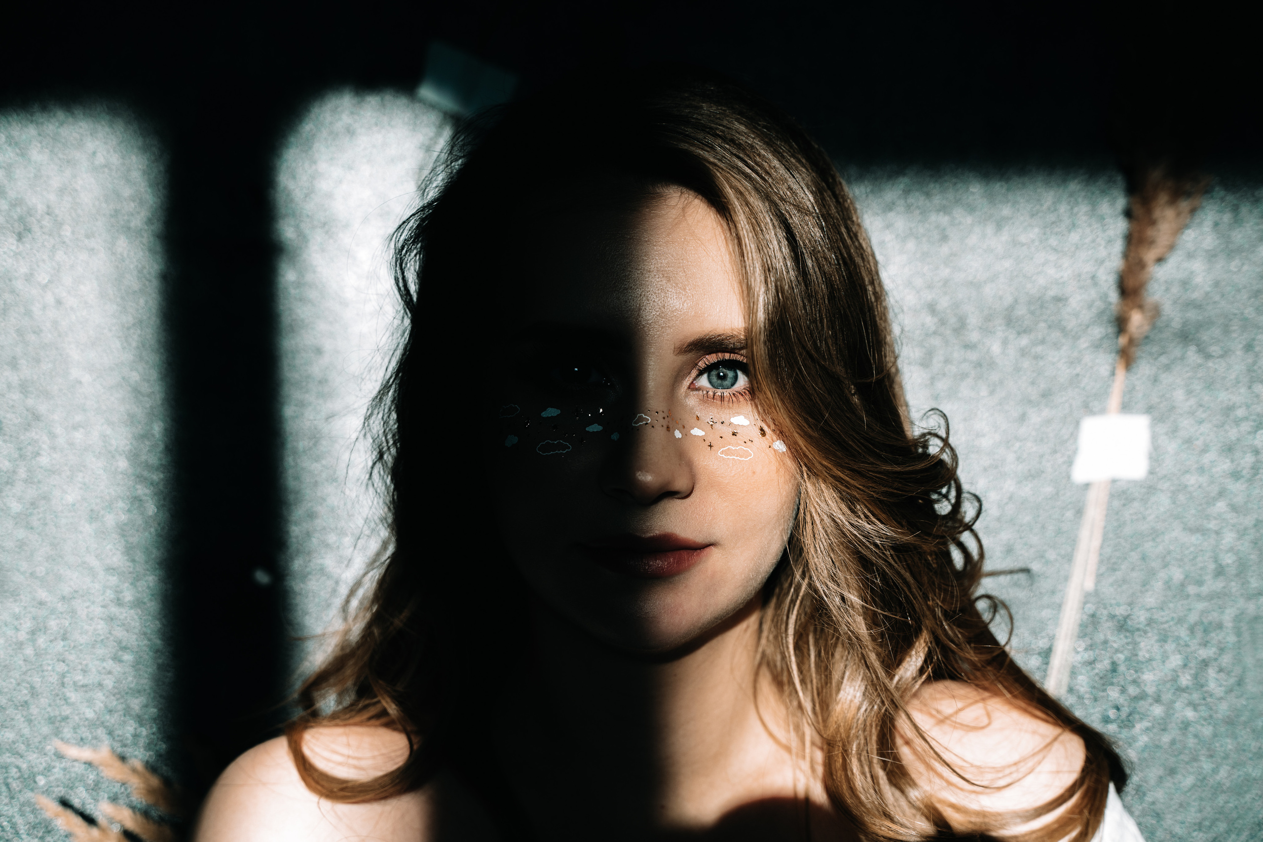 Индивидуальная. PROmedia