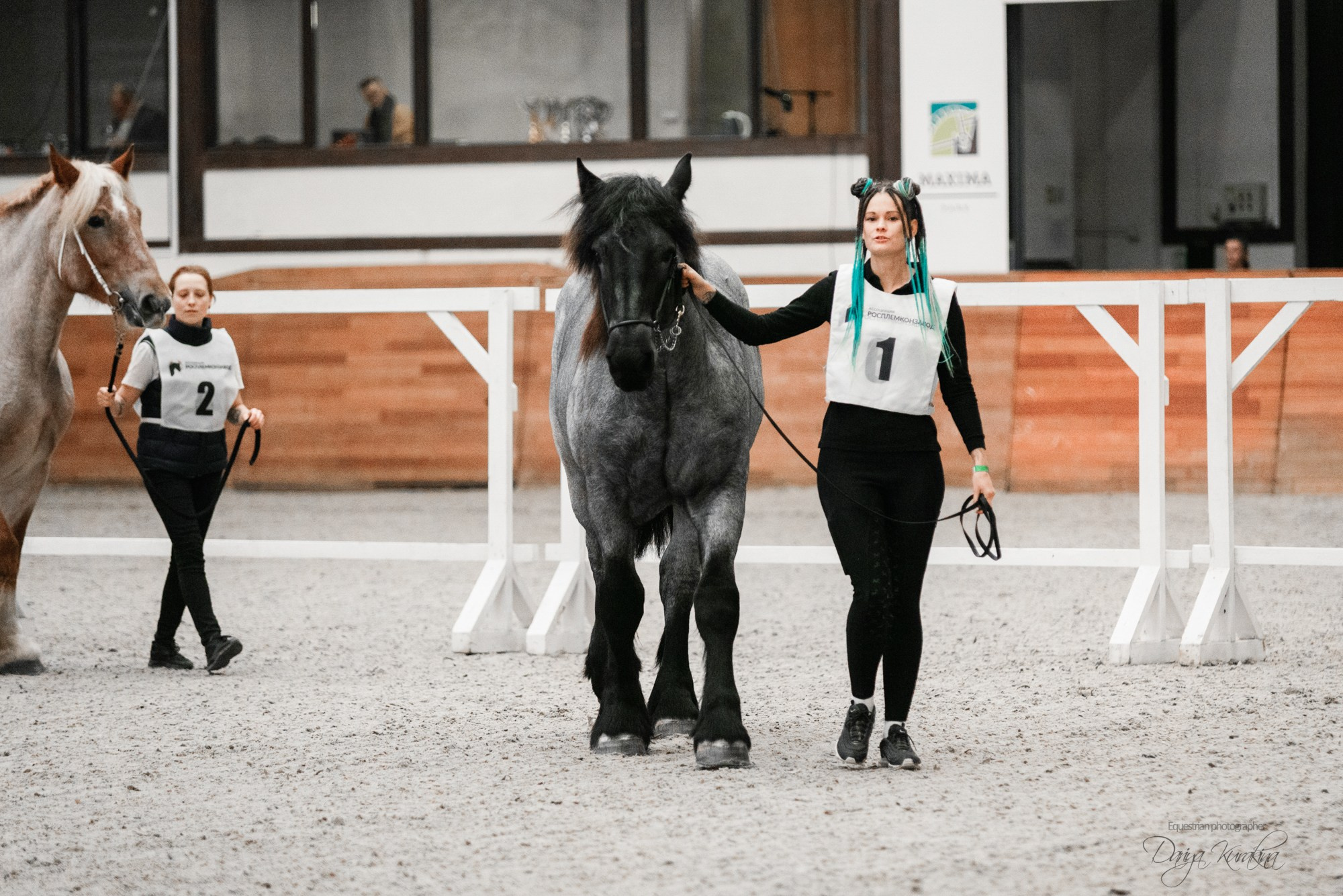 8-я международная выставка Конная Россия. Конный фотограф Куракина Дарья • Фотосессии с лошадьми