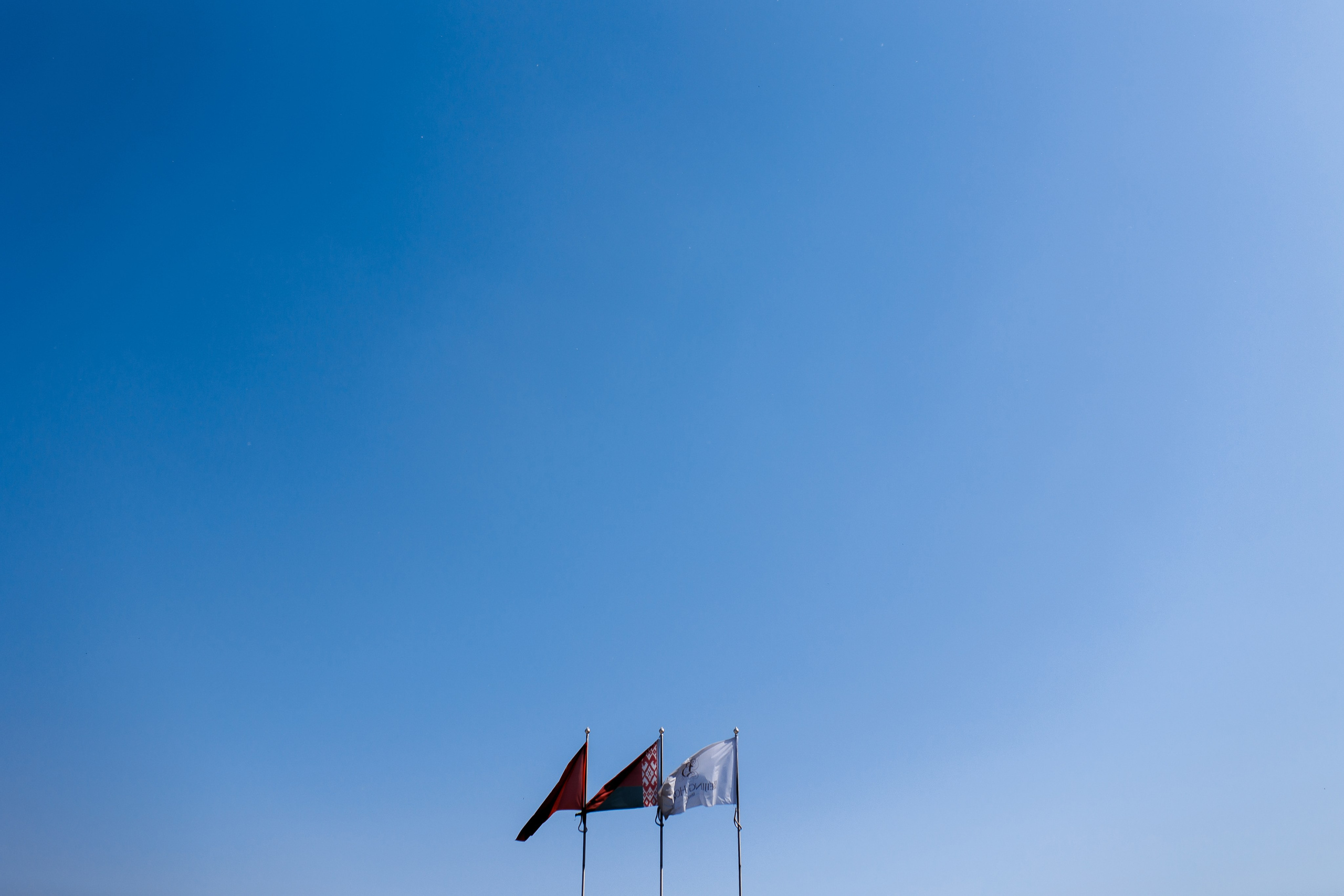 LSF. Свадебный фотограф Каледич Тимофей