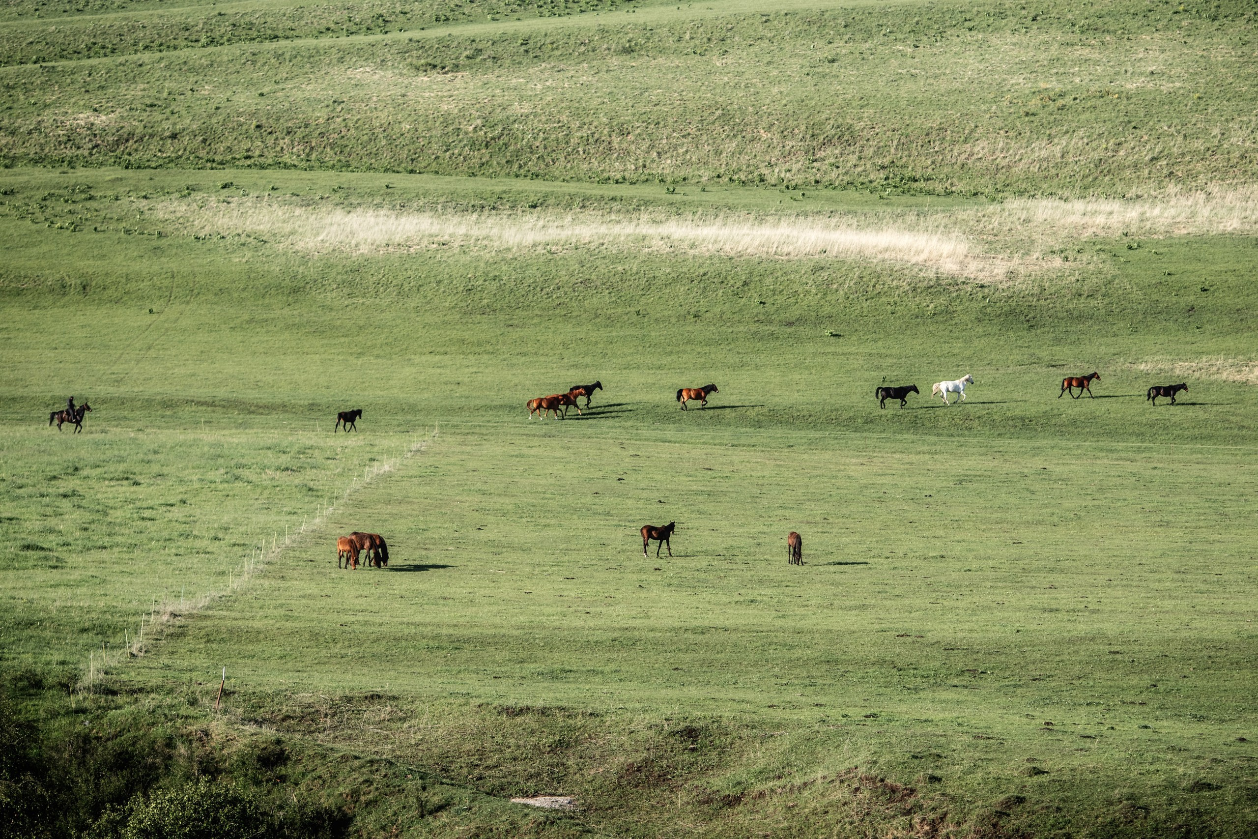 КЧР май'24. BrisArts