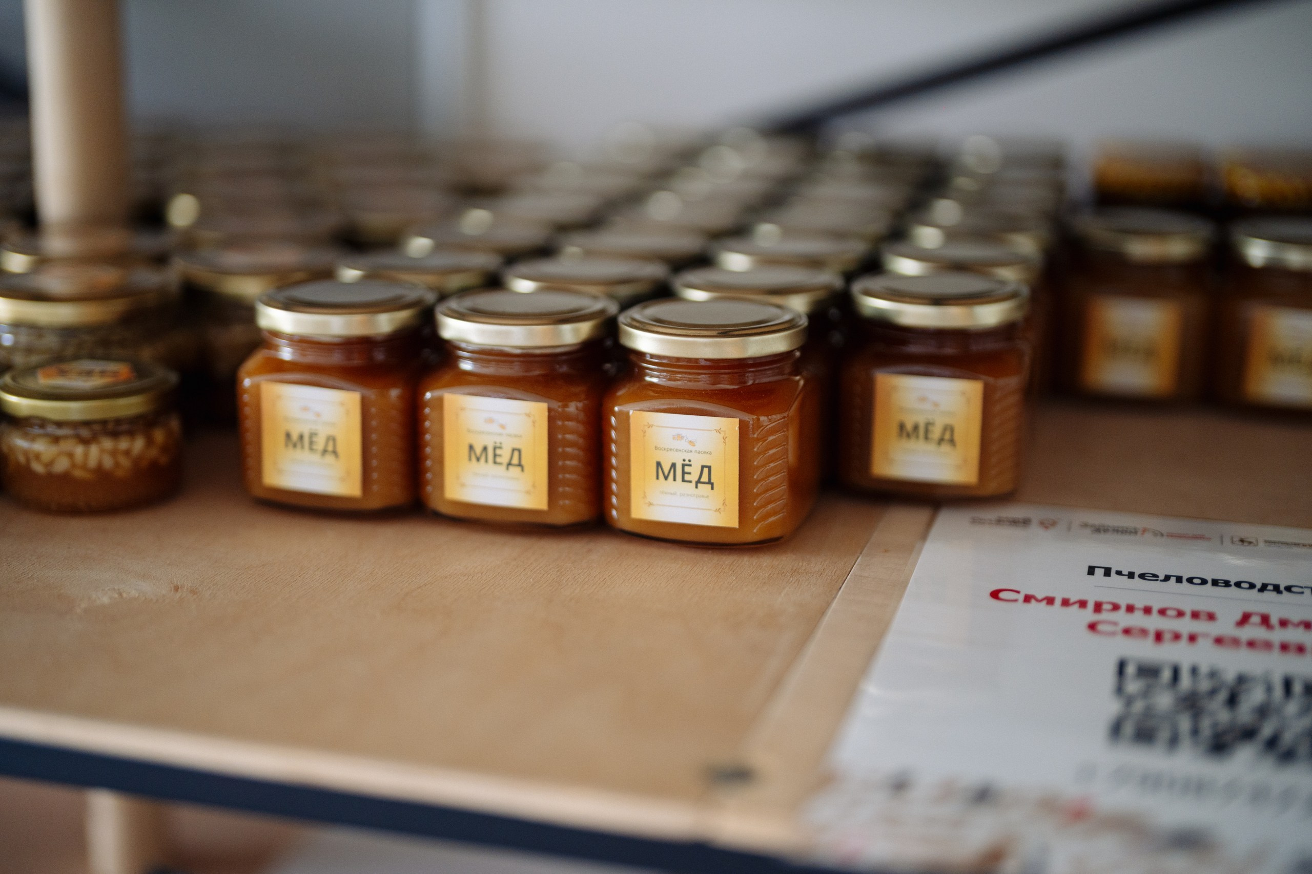 Сюжет № 8|Дмитрий Смирнов