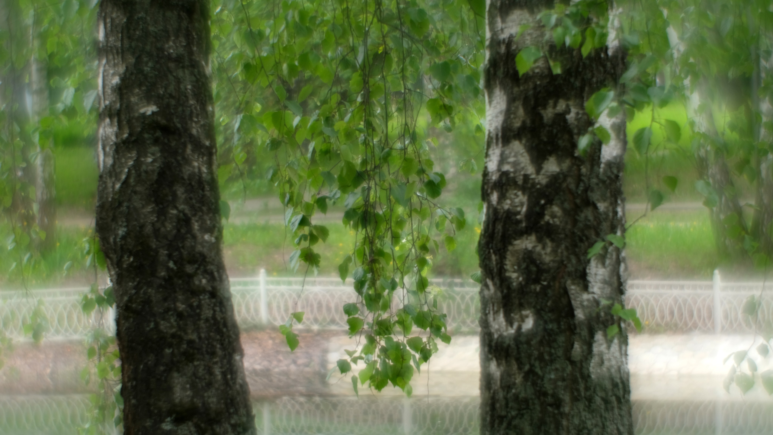Пикториализм в природе. Сайт фотографа Виталия Дени