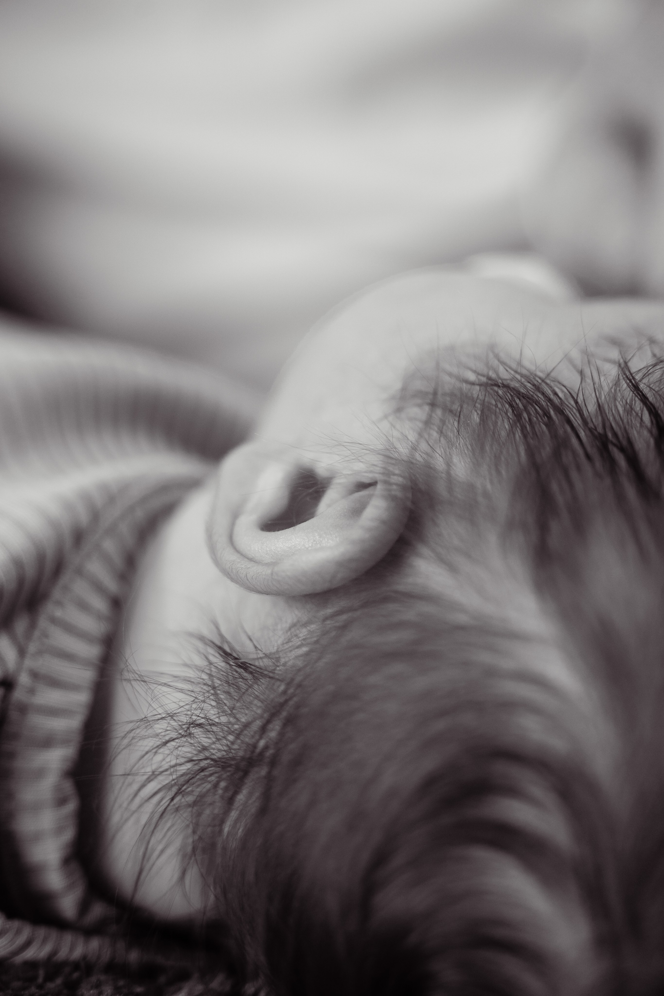 Семья. Свадебный и семейный фотограф в Екатеринбурге Анна Месяцева