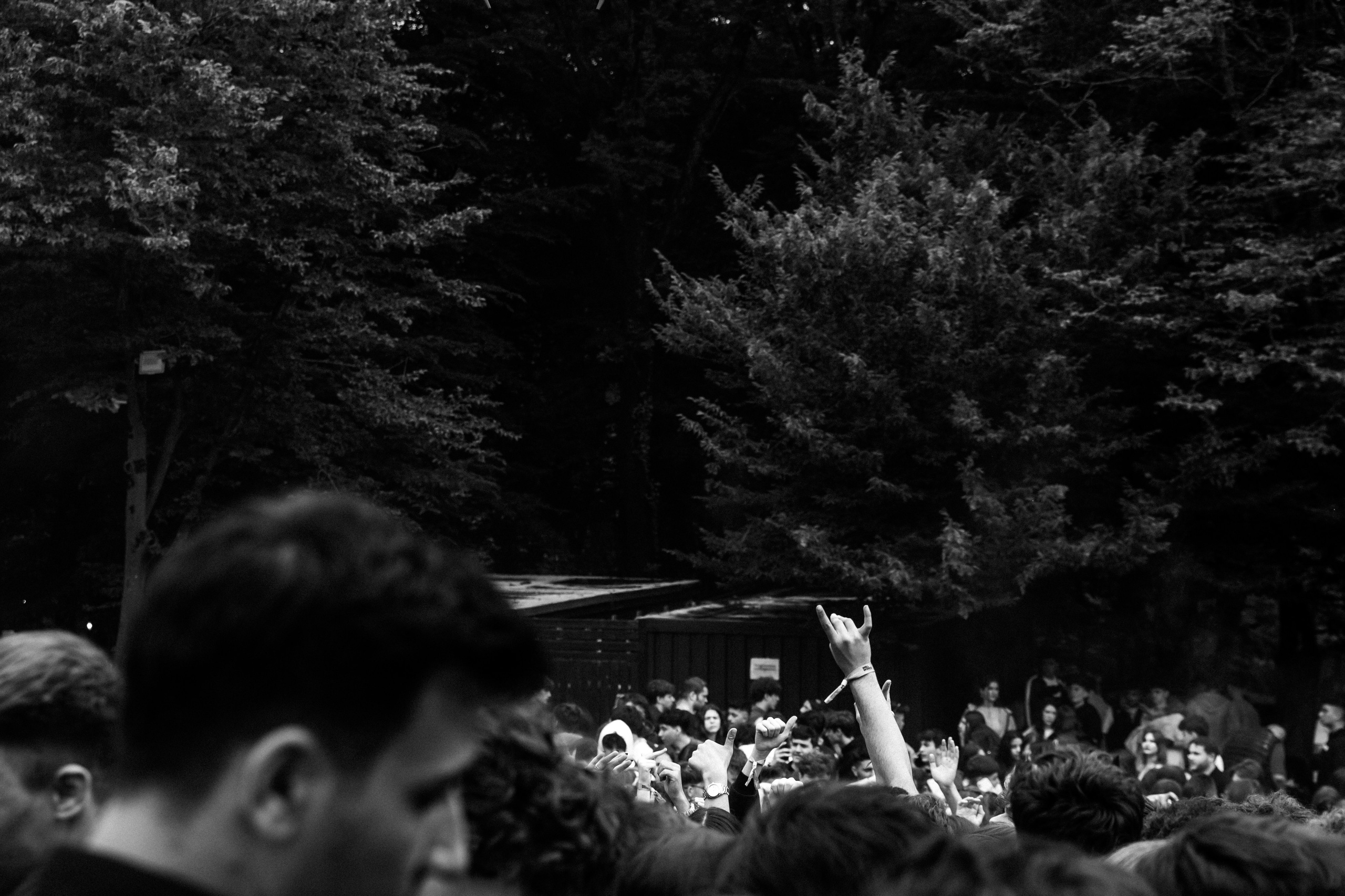 HoliFest. Свадебный и репортажный фотограф