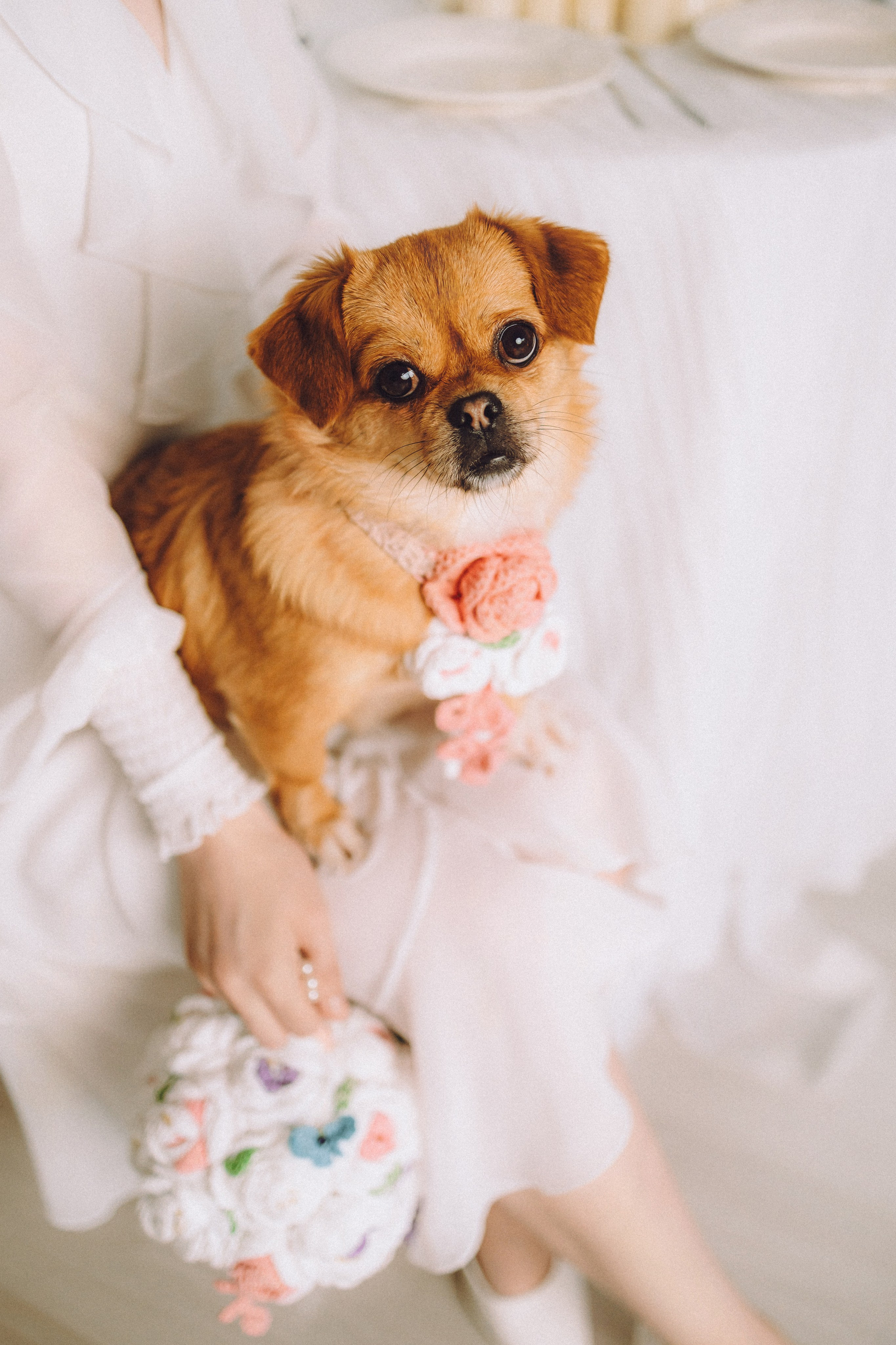 Денис, Василина, Гаврюша и Кнопка