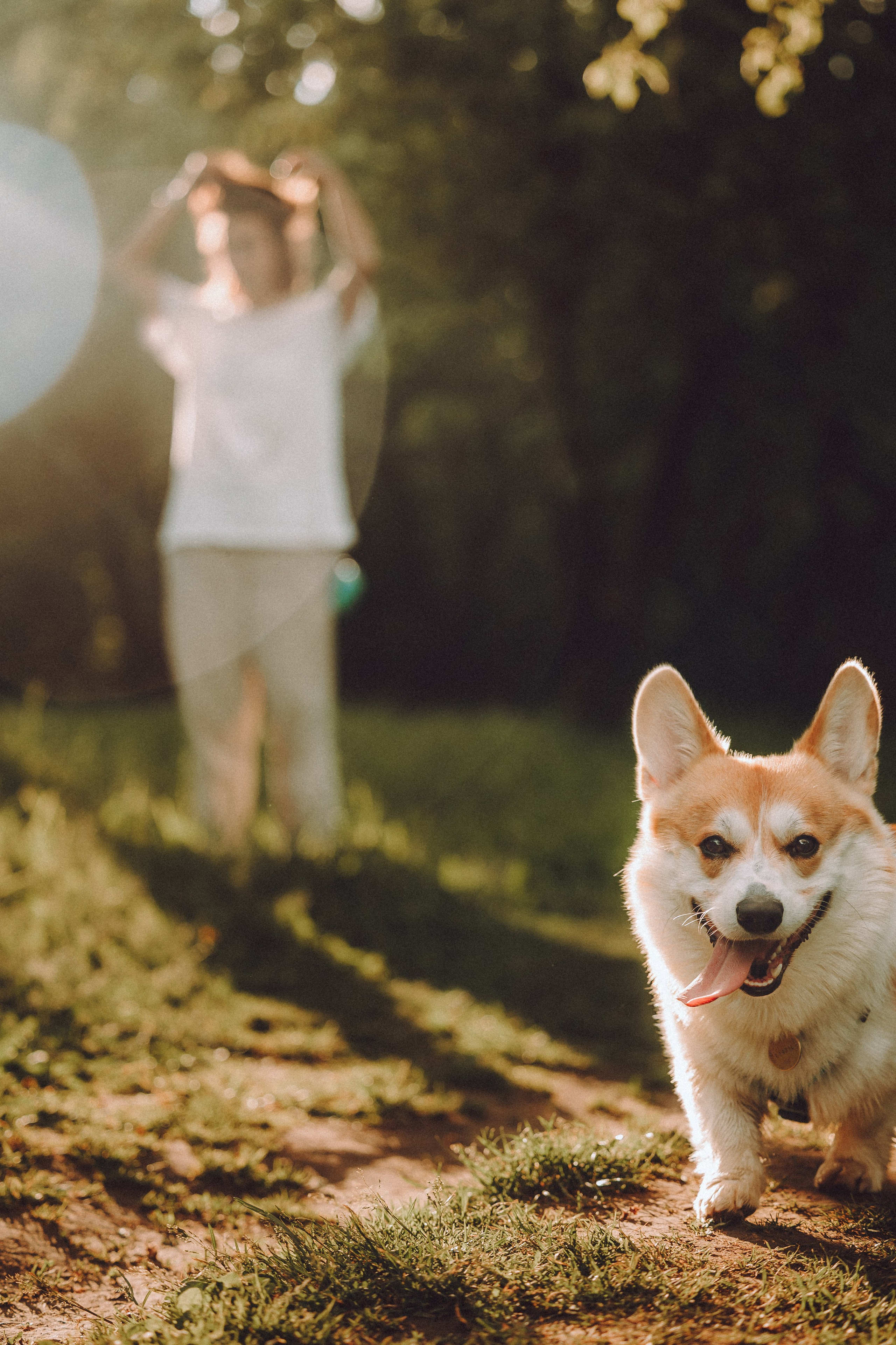 Вирджик и его семья