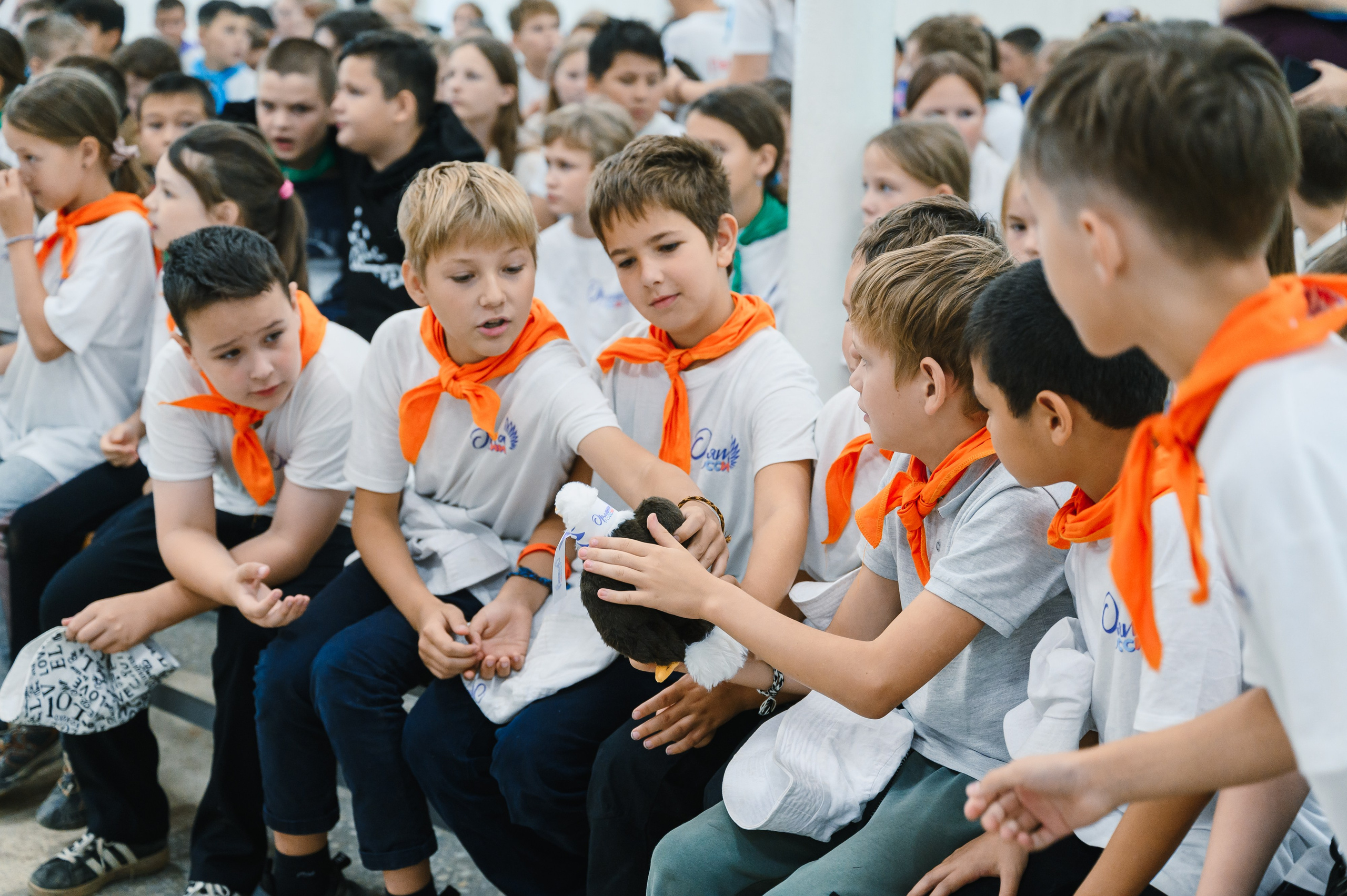 «Орлята России»: смена в лагере. Wedding and family photographer USA