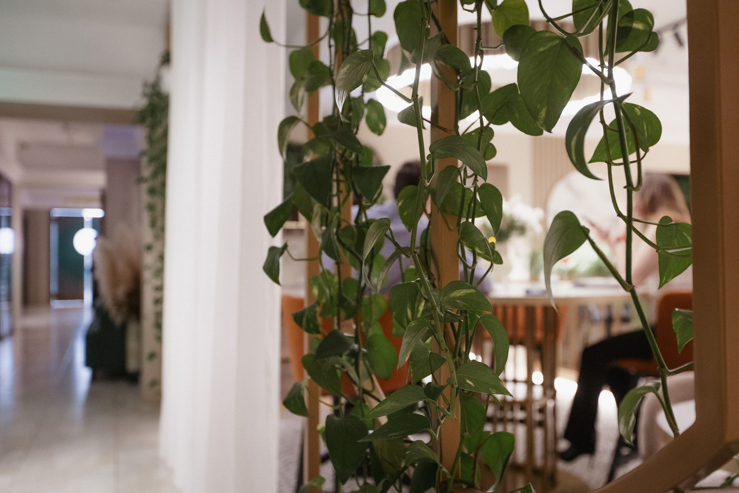 RESNOTA — ГРЕЧЕСКАЯ ВЕЧЕРИНКА. СВОИ. ФОТООТЧЕТЫ-СОБЫТИЯ-МЕСТА