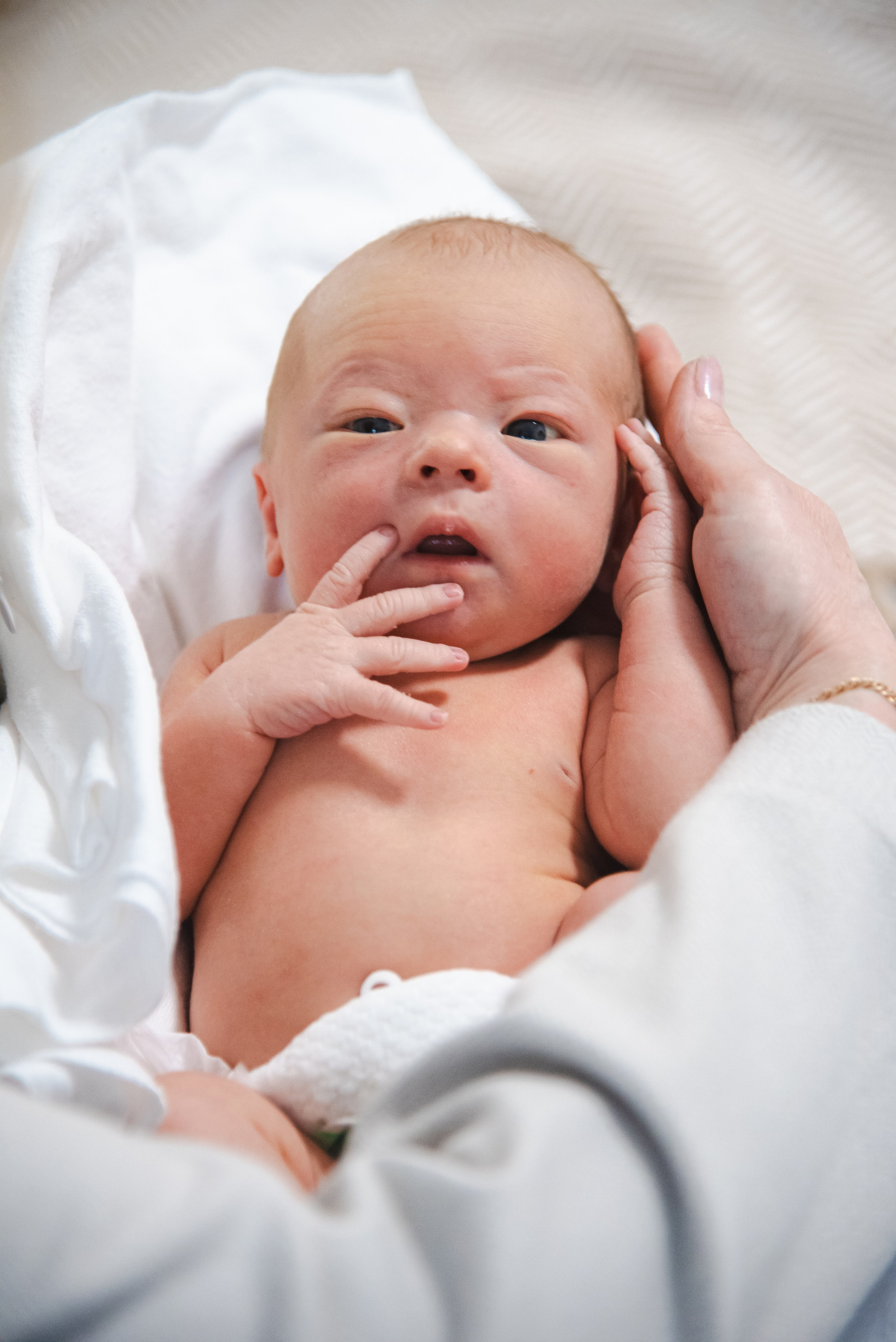 Выписка Марка 22.04.24. Наталия Март | Фотограф СПб