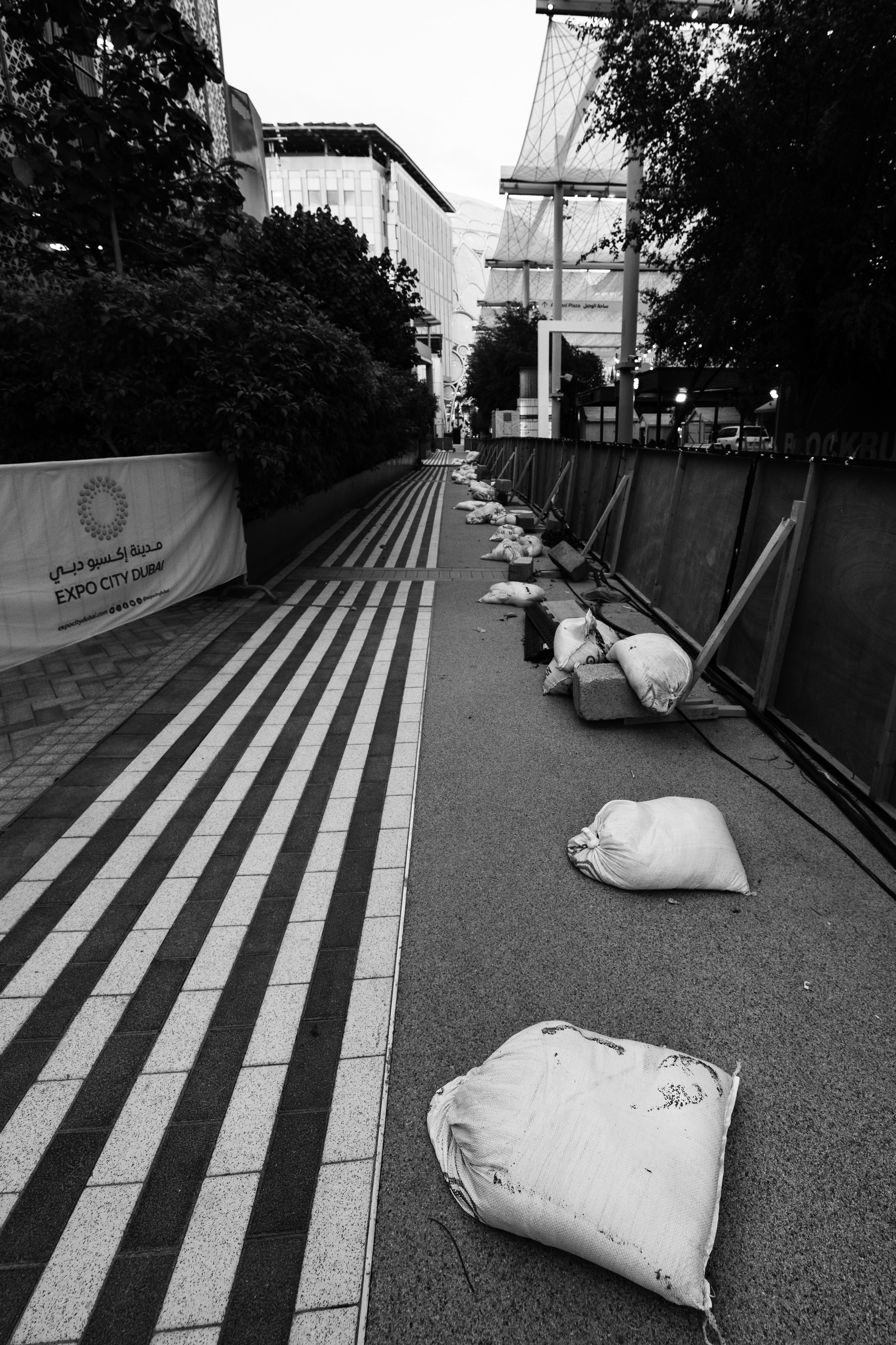 Дубай 2023. Руслан Плахтеев