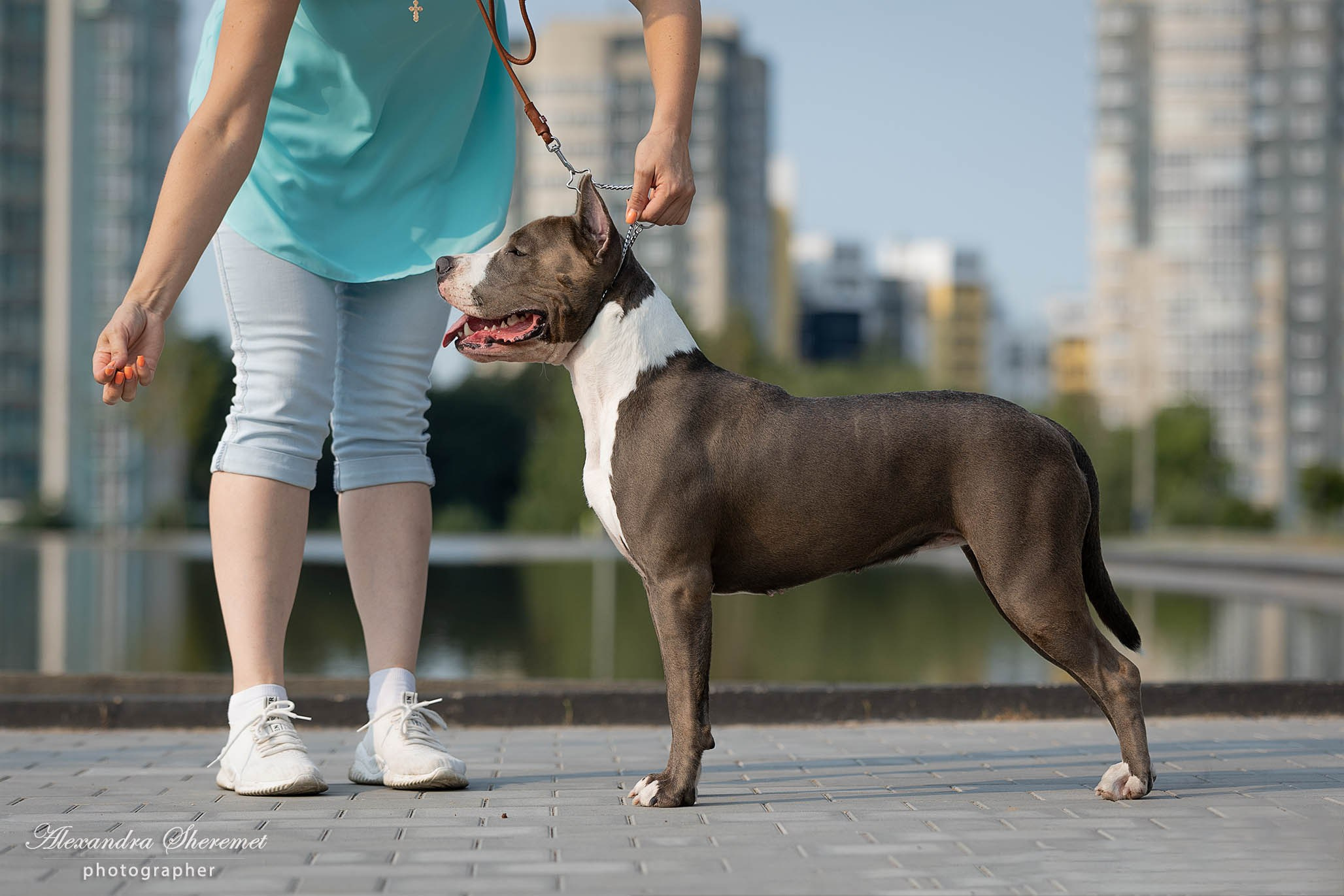 Шерри. Фотограф-анималист Александра Шеремет