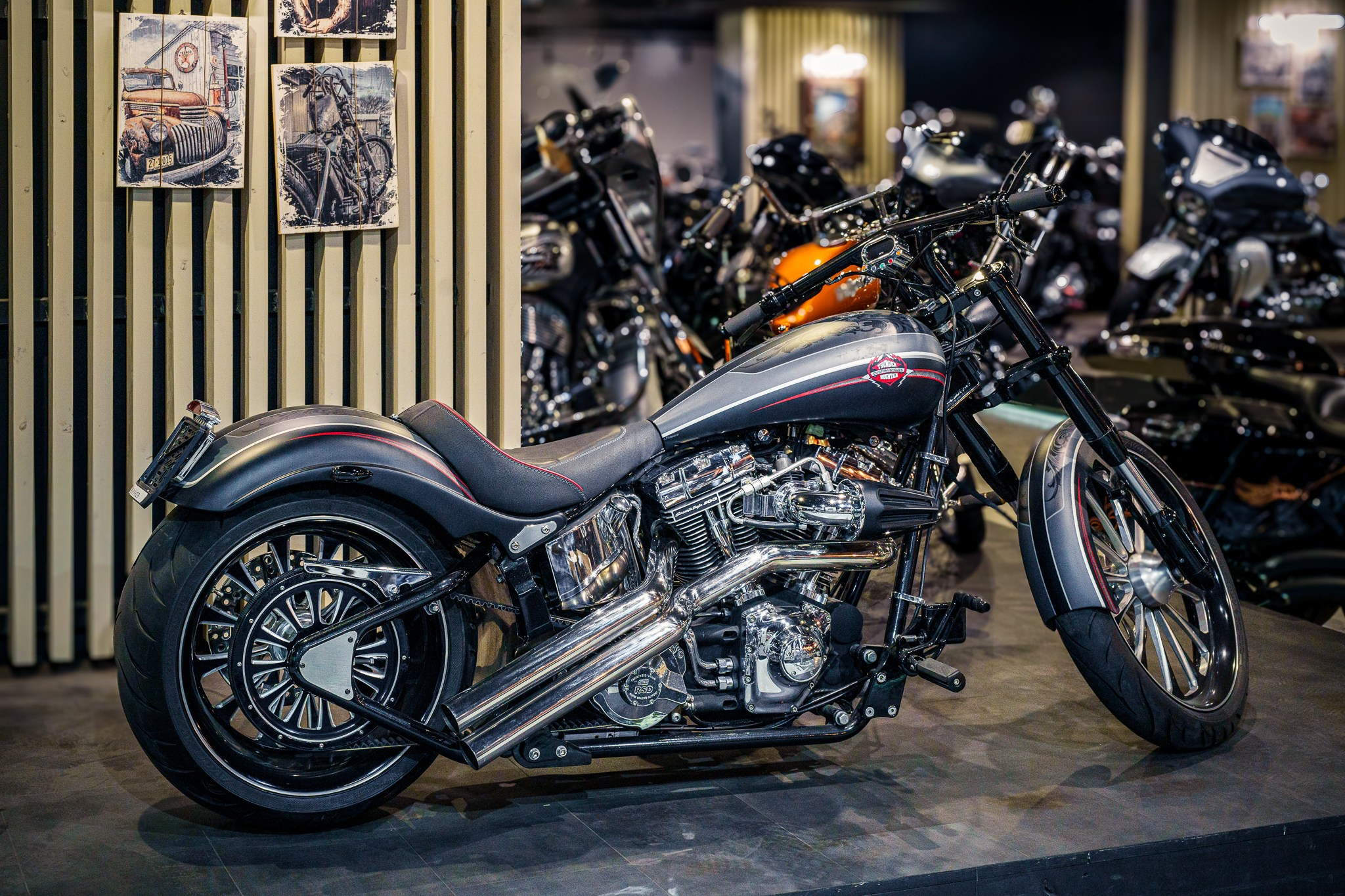 Thunder Mountain Custom. Фотограф в Москве Денис Курашев