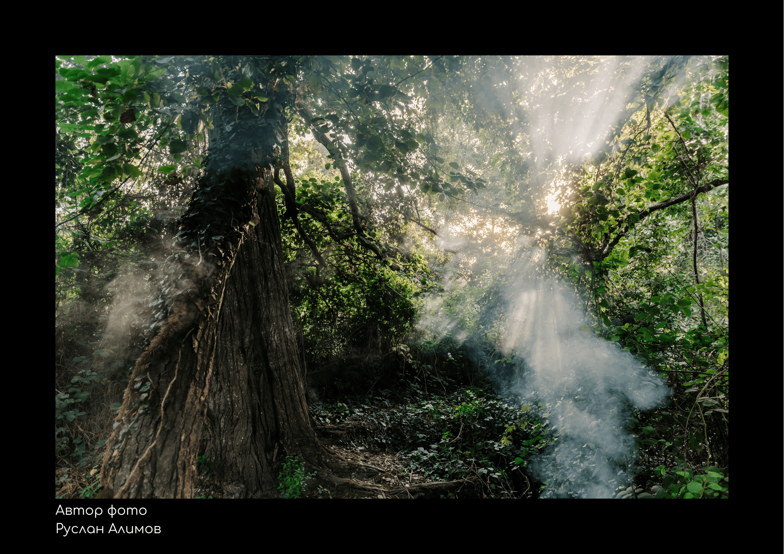 Виртуальная фотовыставка «Заповедный Дагестан». Репортажный фотограф в Крыму Ксения Гасица