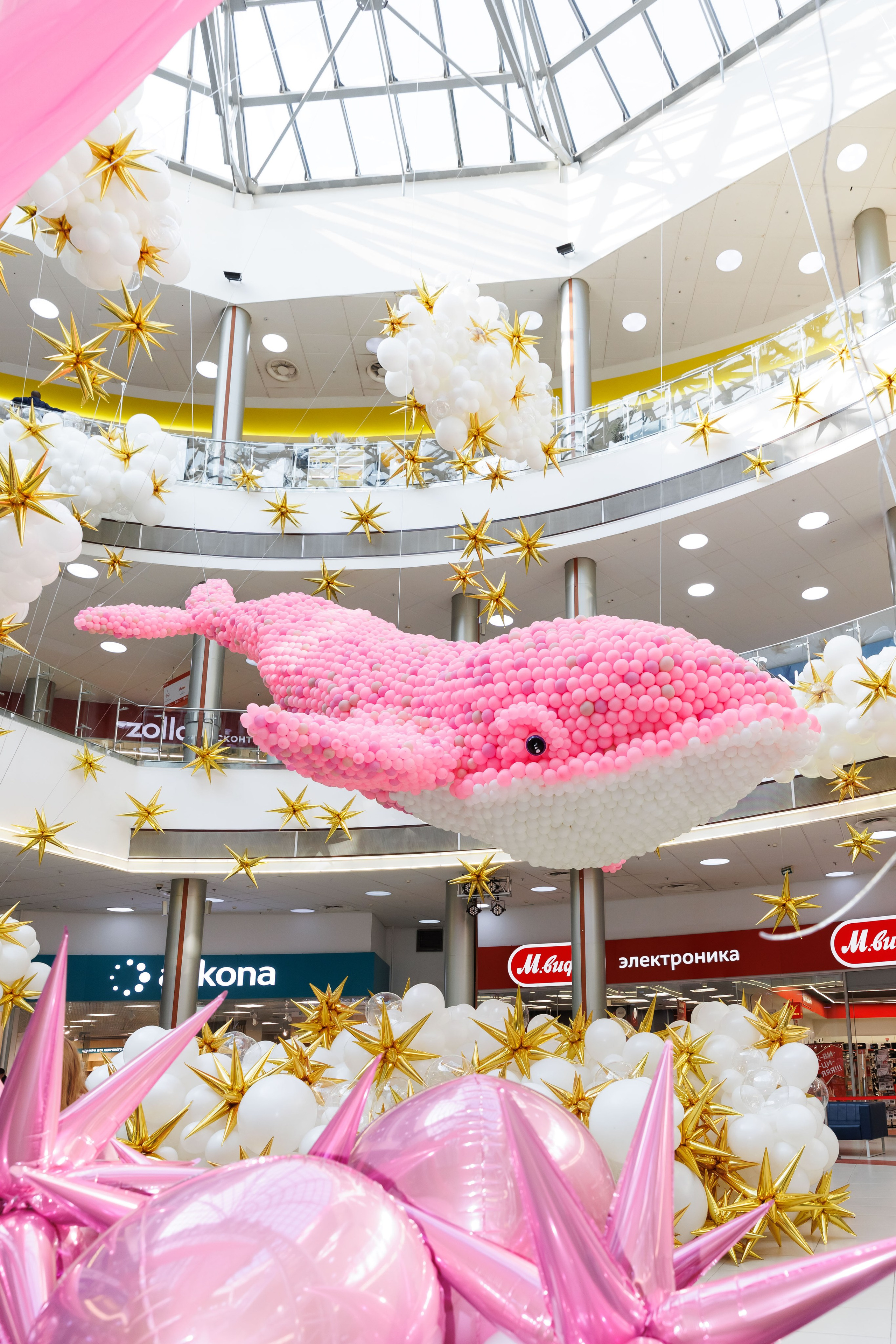 Умная весна 2025. Фотограф Новосибирск — Наталья Гресь