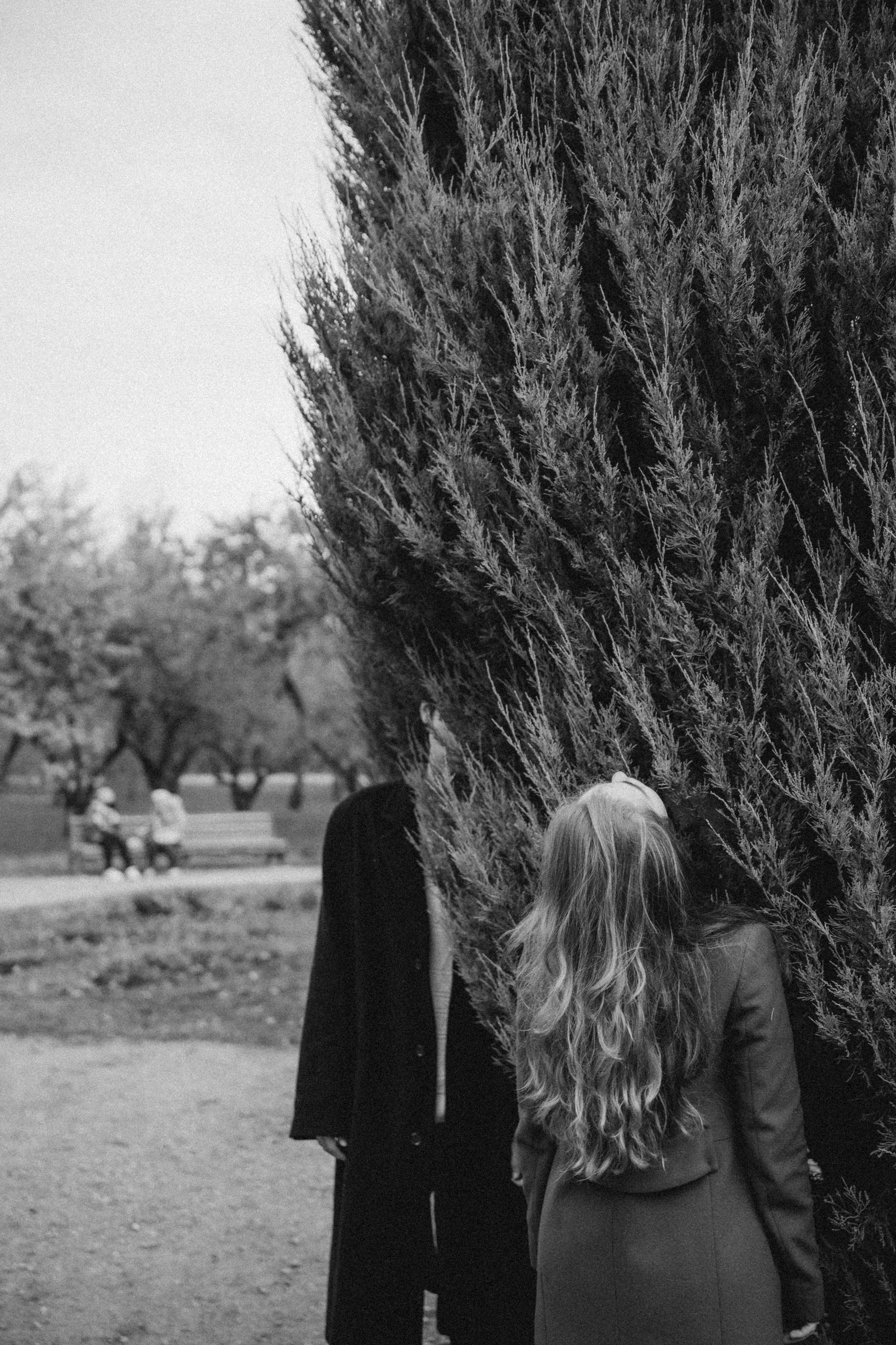 Галки, ветки и любовь. Фотограф Москва Селюкова Юлия