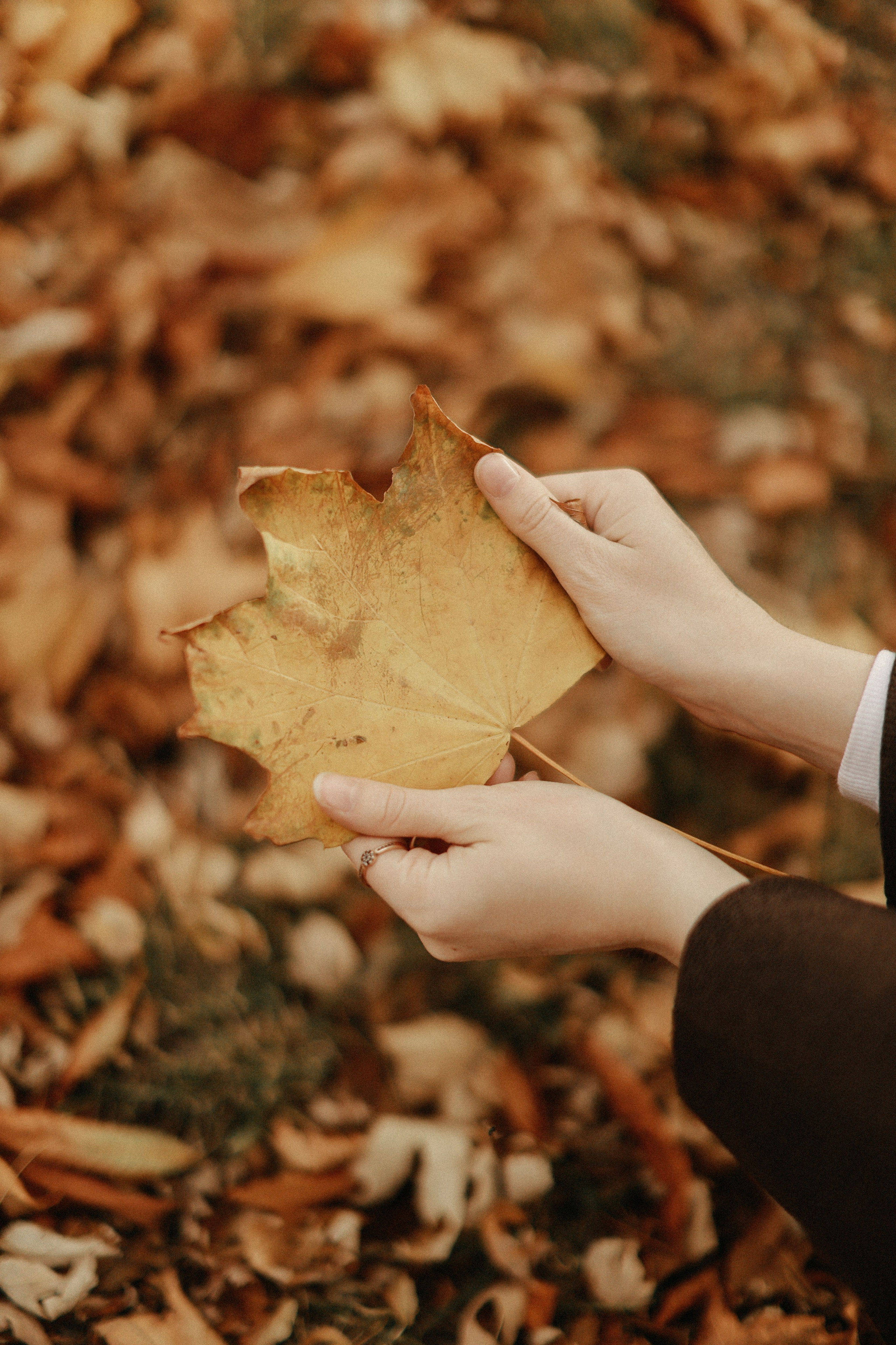 Лиза. Фотограф Донецк. Горловка. ДНР. Севастополь