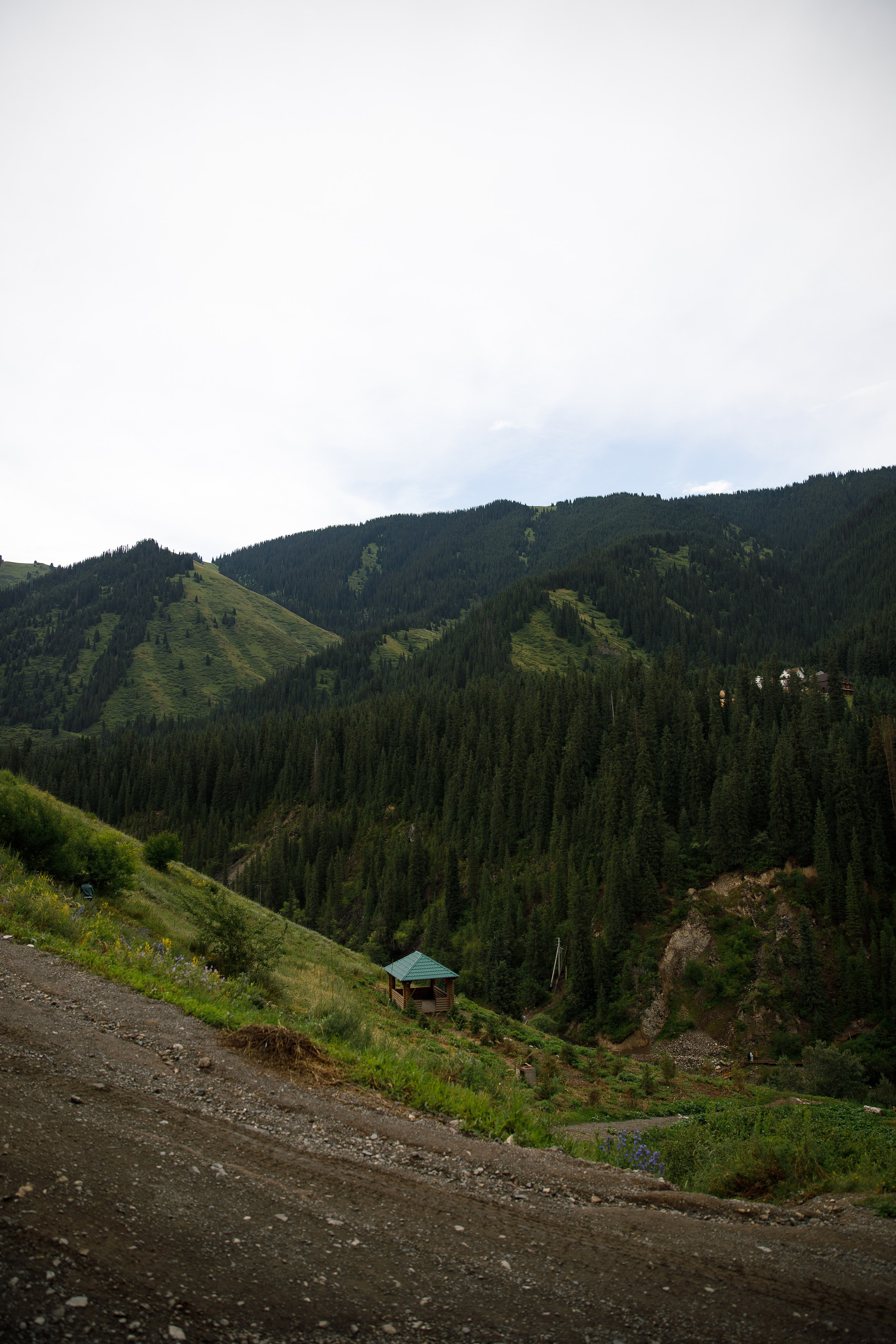 Казахстан / июль 2024. Репортажный и портретный фотограф Русакова Жанна
