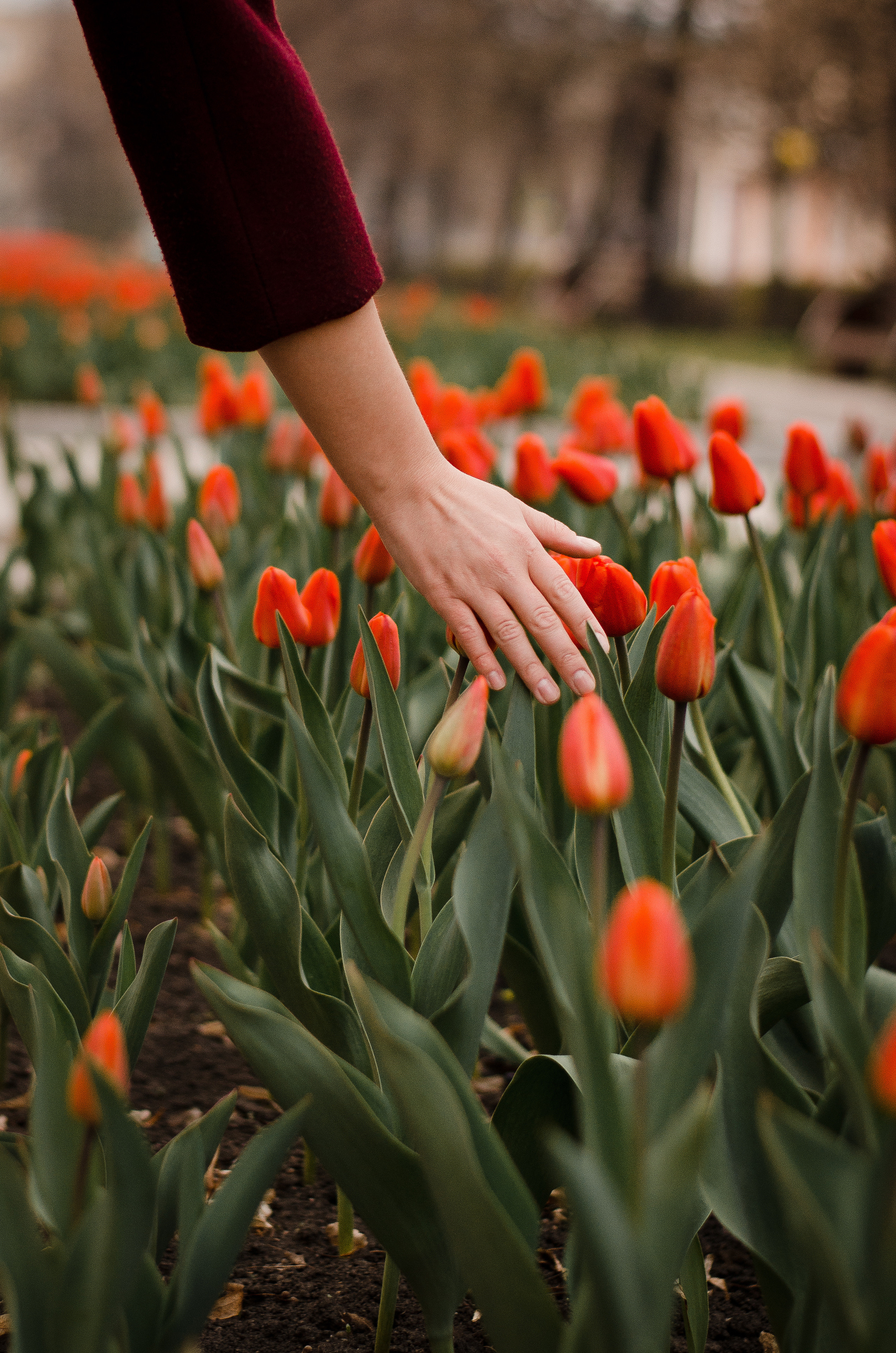 Старый город. Фотограф в Кемерово, Ольга Гаврилова