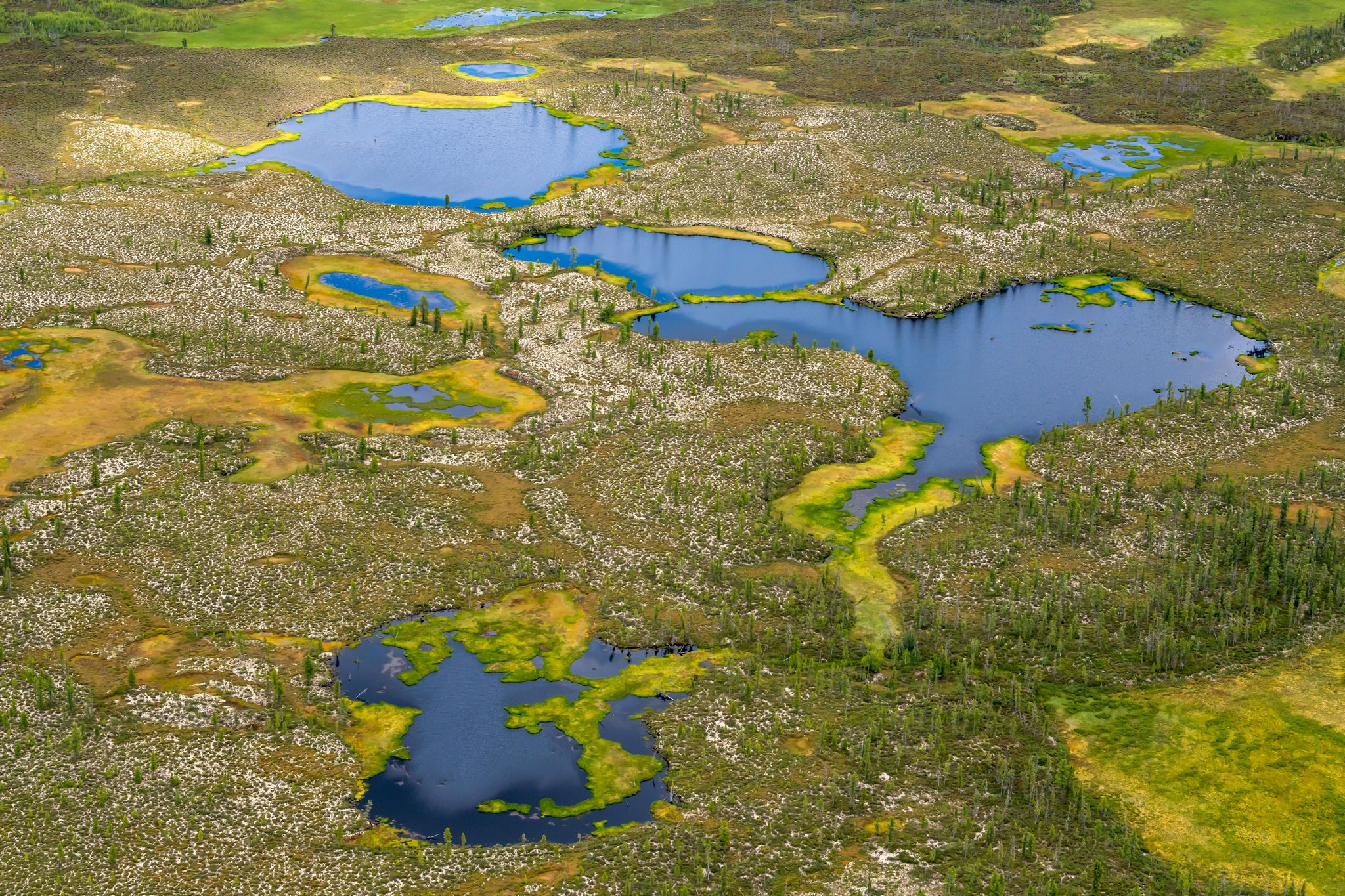 Пейзажный фотограф, Фотографии дикой природы. Foto-Zuev фотография как искусство
