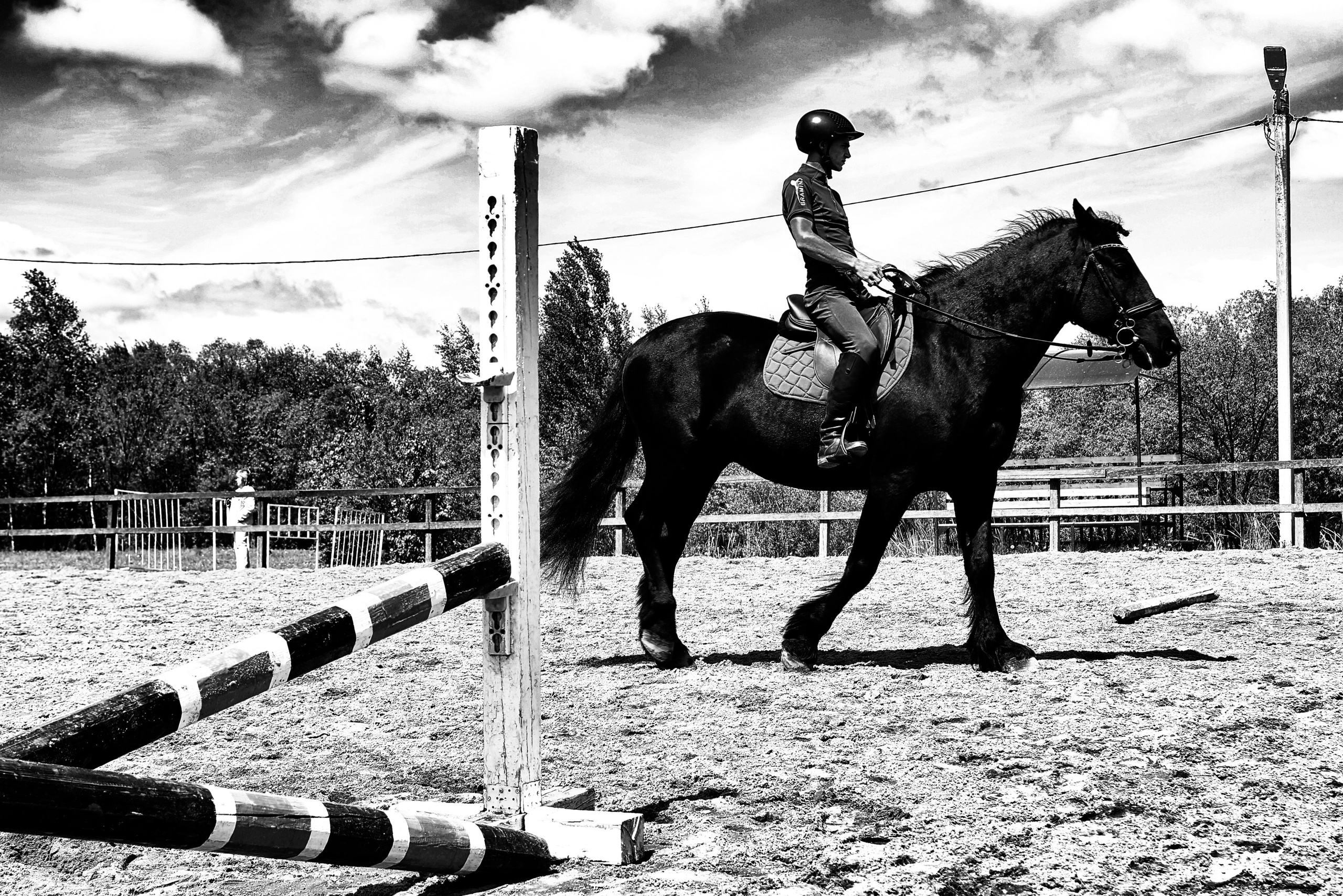 Лошади «Каскад» и «Брилиант». Алиса Томшина — Фотограф / Видеограф