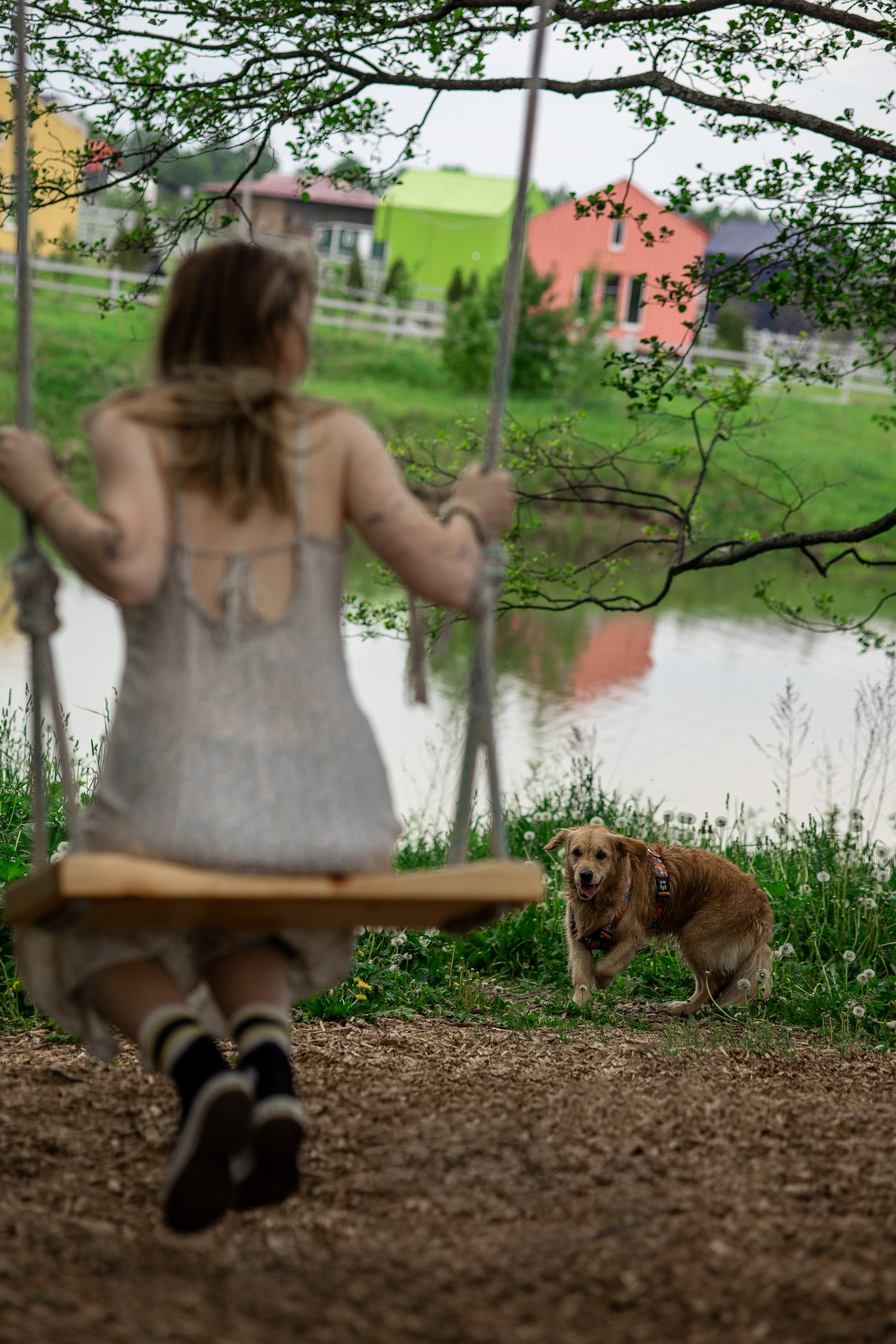 Съемка с собакой. Анастасия Белаш