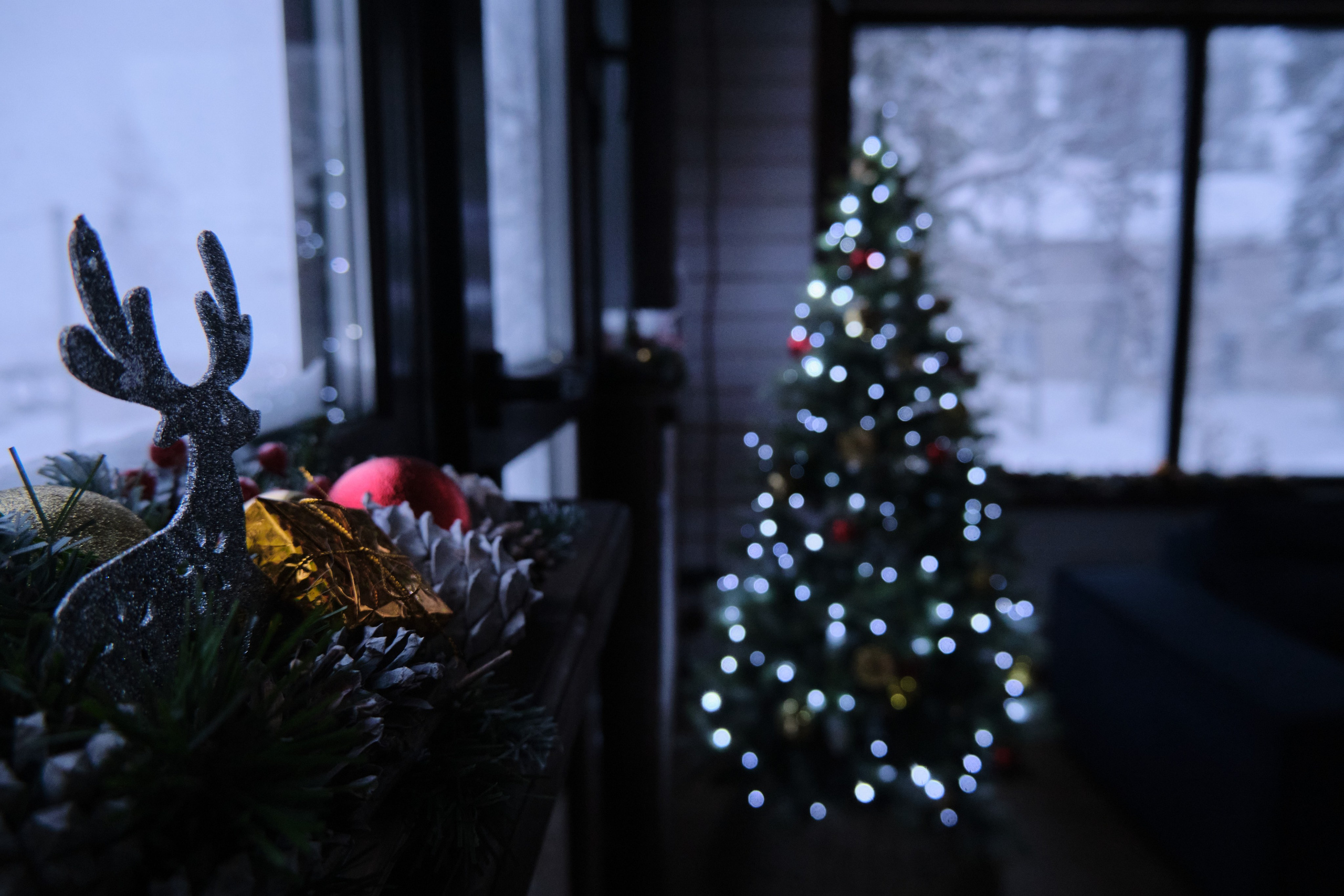 Ключевая 1. Свадебный и семейный фотограф в Новокузнецке Иван Иванов