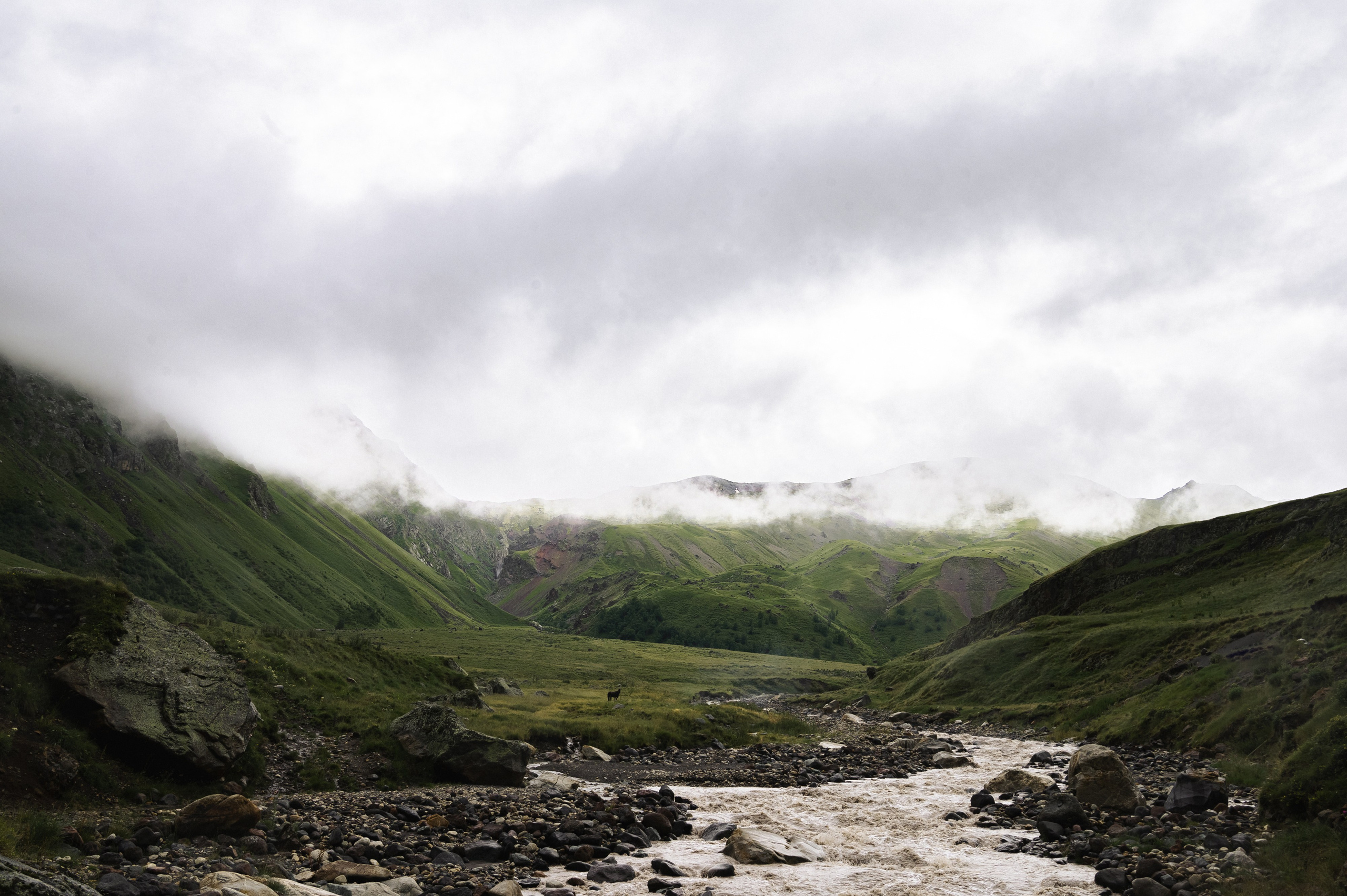 Владимир и Анна. Свадебный фотограф Ростов-на- Дону, Краснодар, Москва