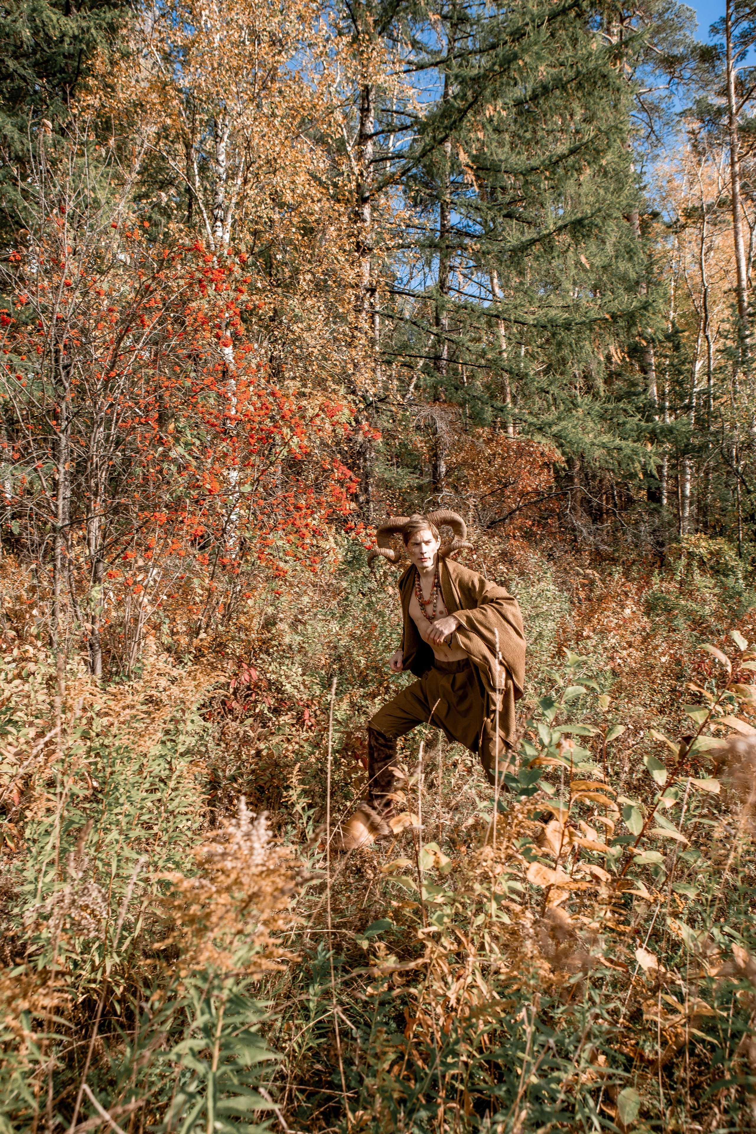 Волшебный лес. Фотограф Екатерина Голицына
