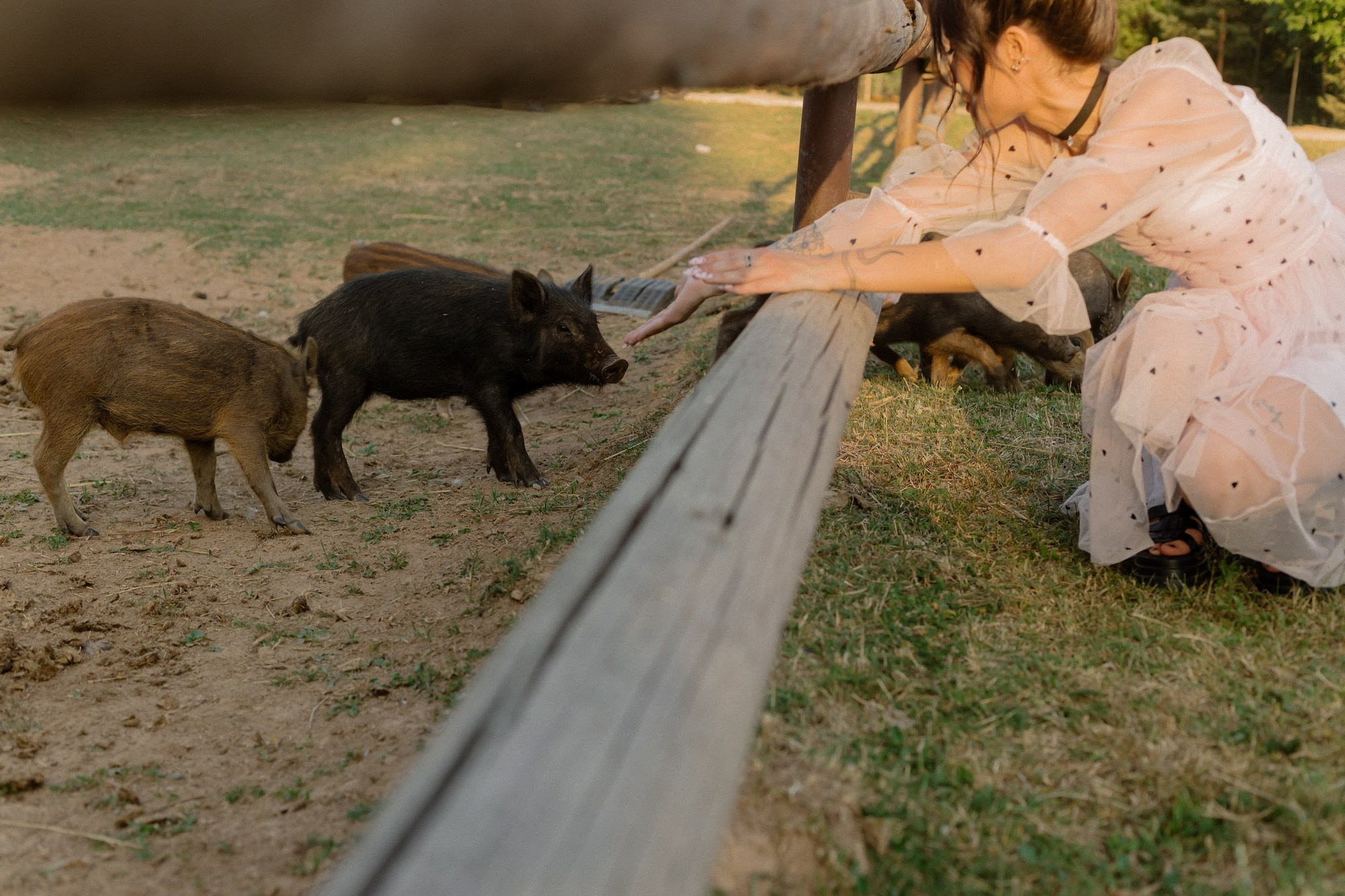 Wedding. Свадебные и портретный фотограф — Кирилл Зорин