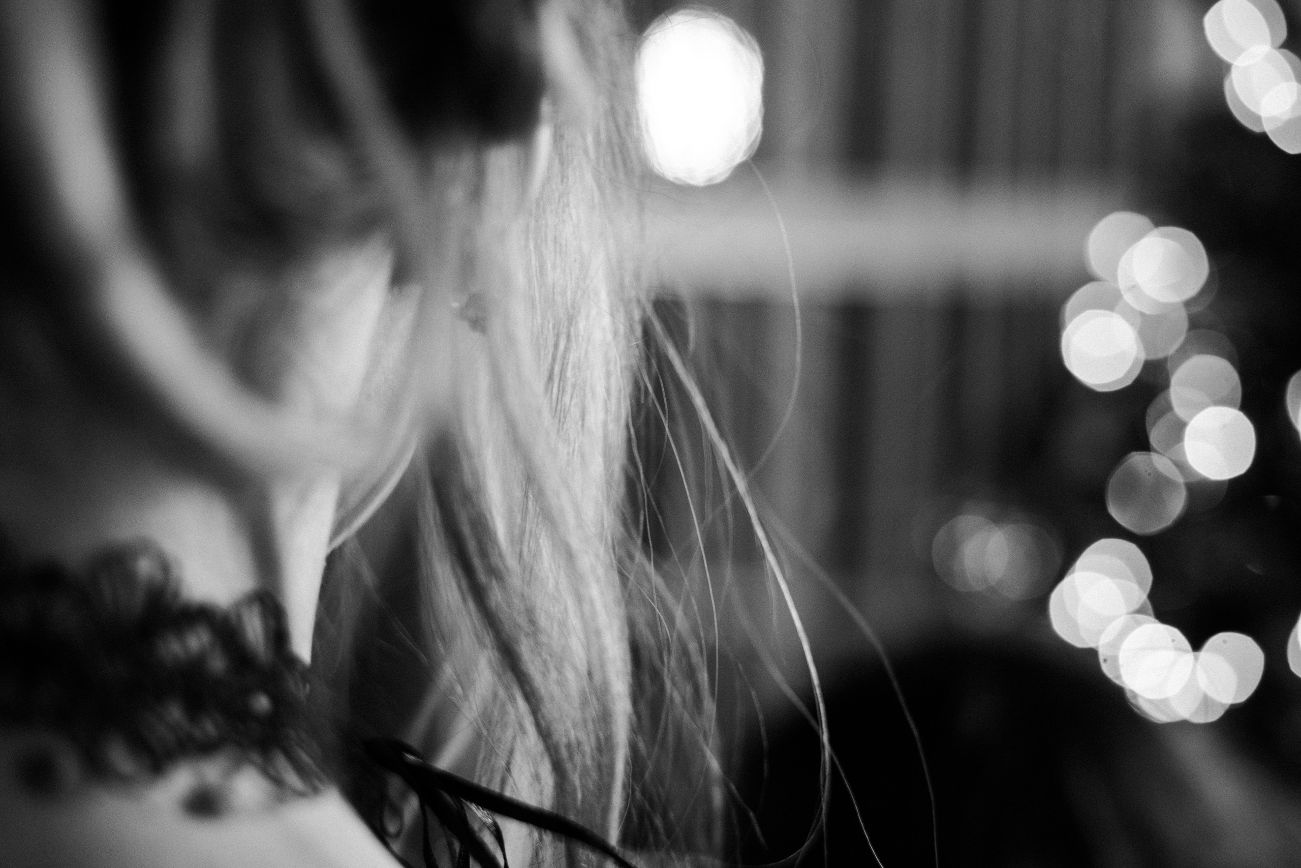 Новогодний банкет в загородном клубе «Ильдорф». Фотограф в Нижнем Новгороде Невоструева Анна