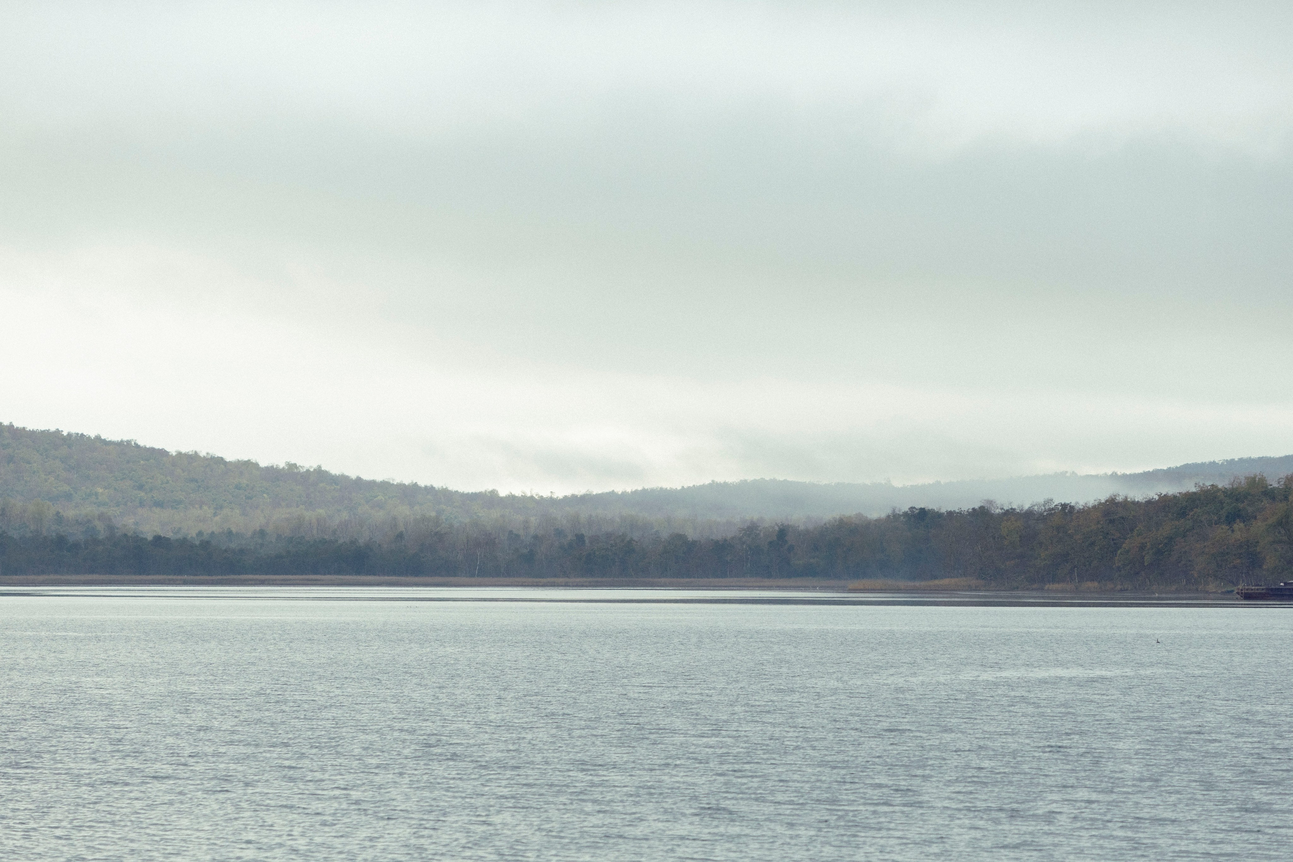 Утро с Галей. Фотограф Виктория Куприянова