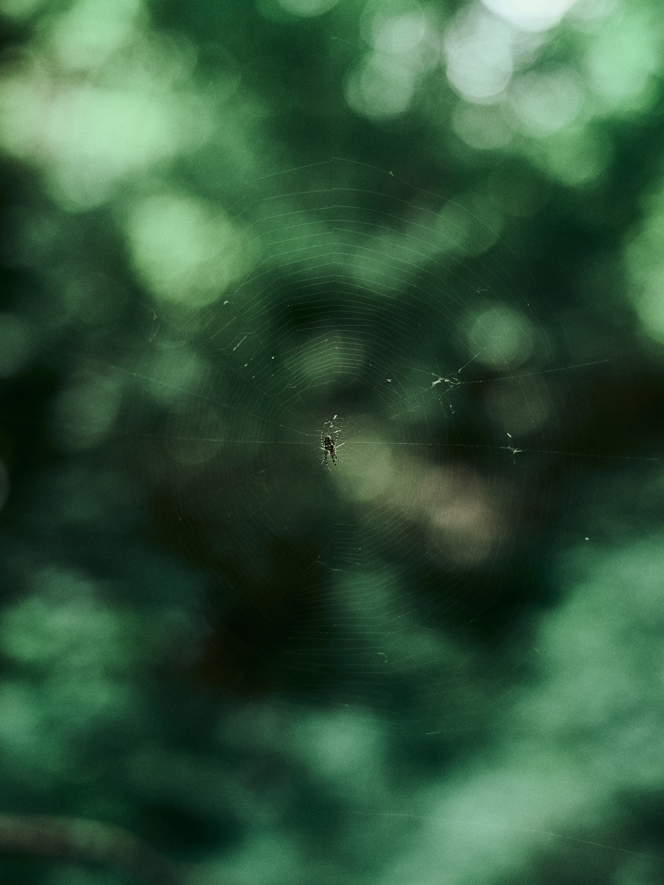 Street. Портретный фотограф в Москве