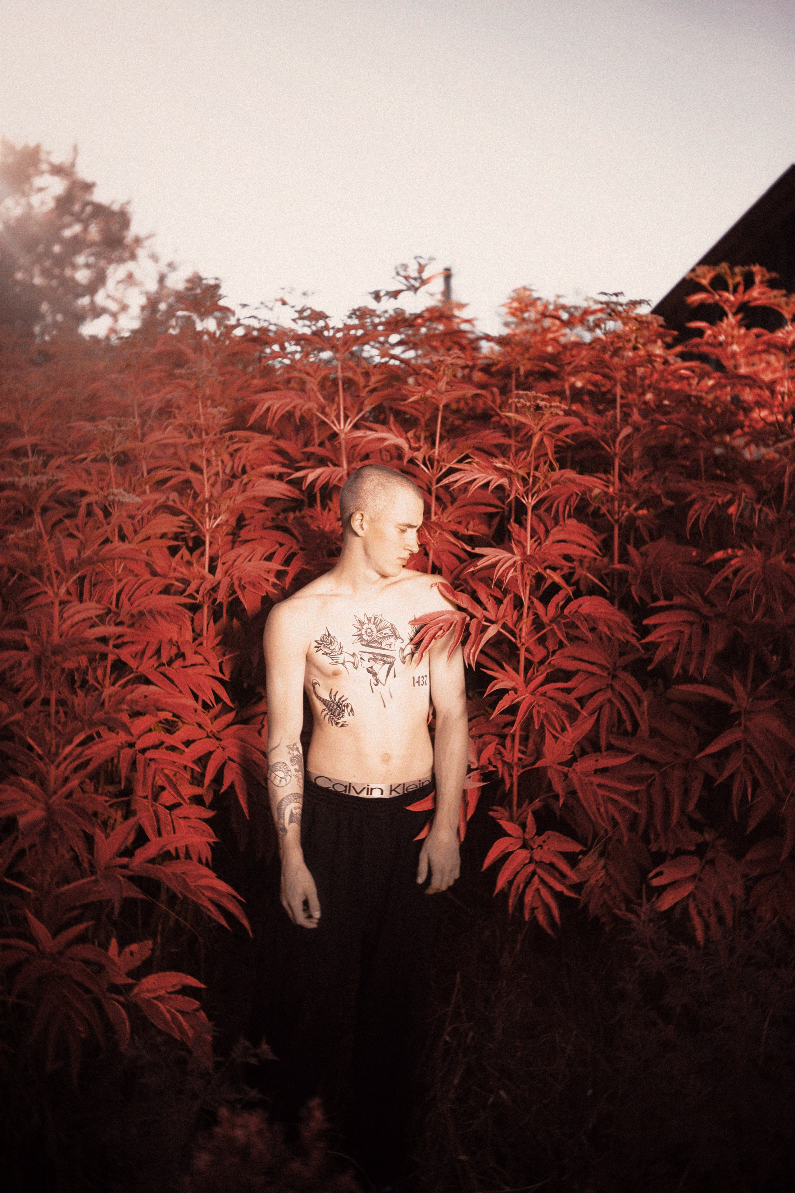 Смелые мужские и женские портреты в объективе фотографа из Майкопа