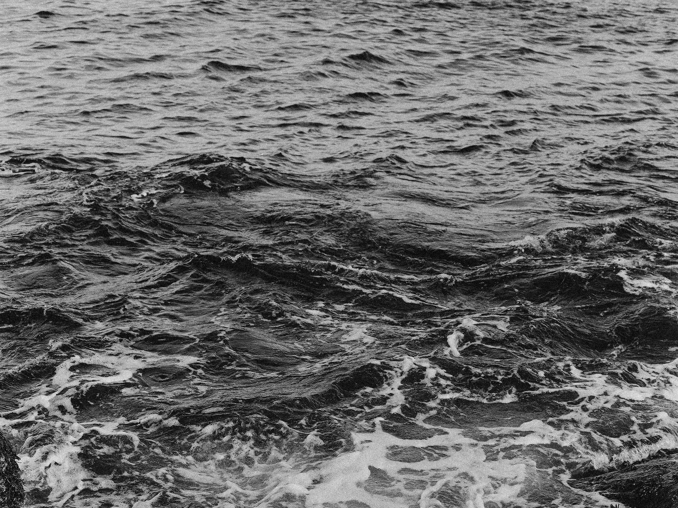 Контакты. Фотограф Rockeroleg