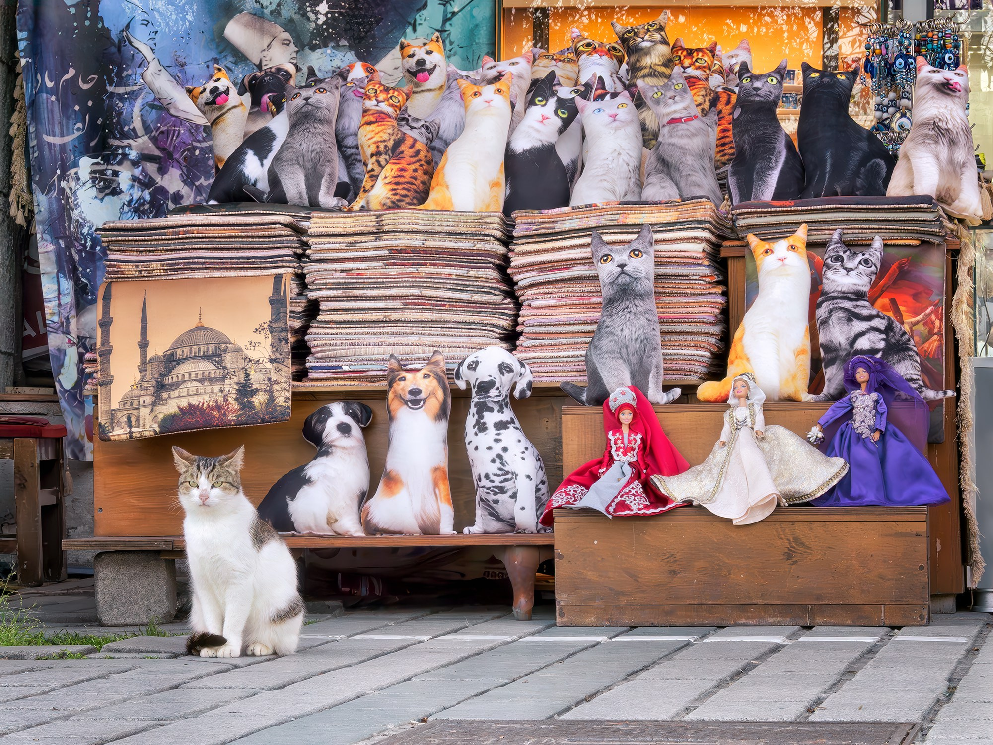 "Мои друзья и я", Стамбул