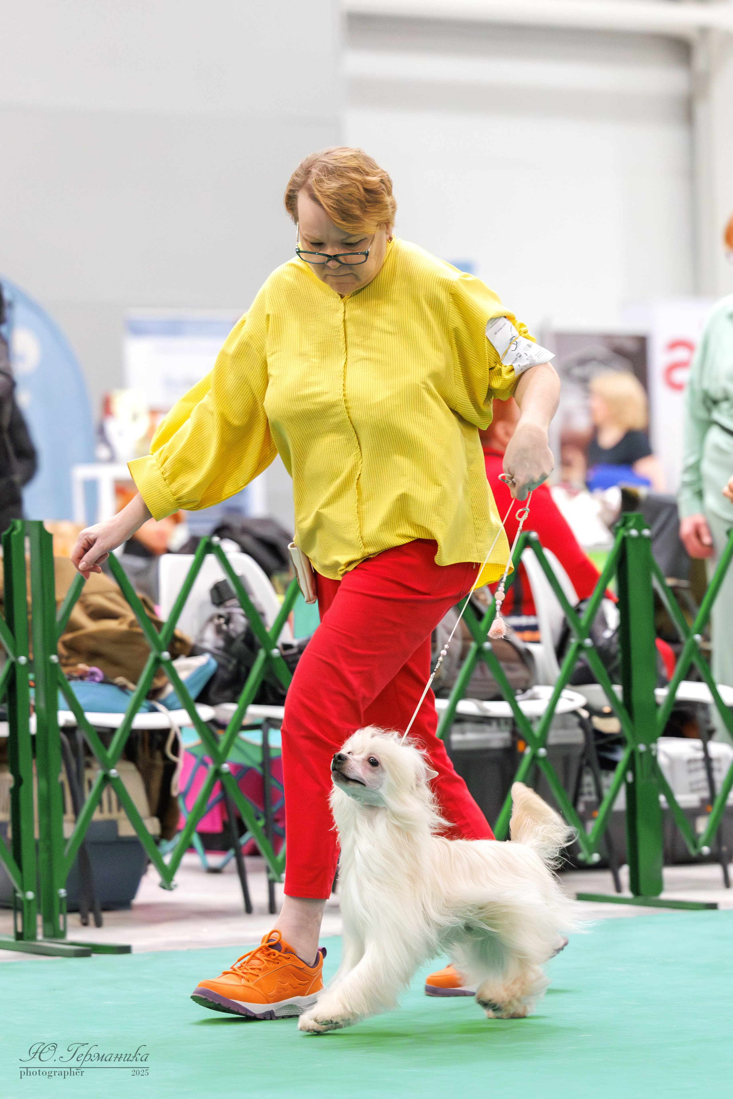 Гран-При 8.02.2025 и Крокус 09.02.2025. Фотограф-анималист Юлия Германика