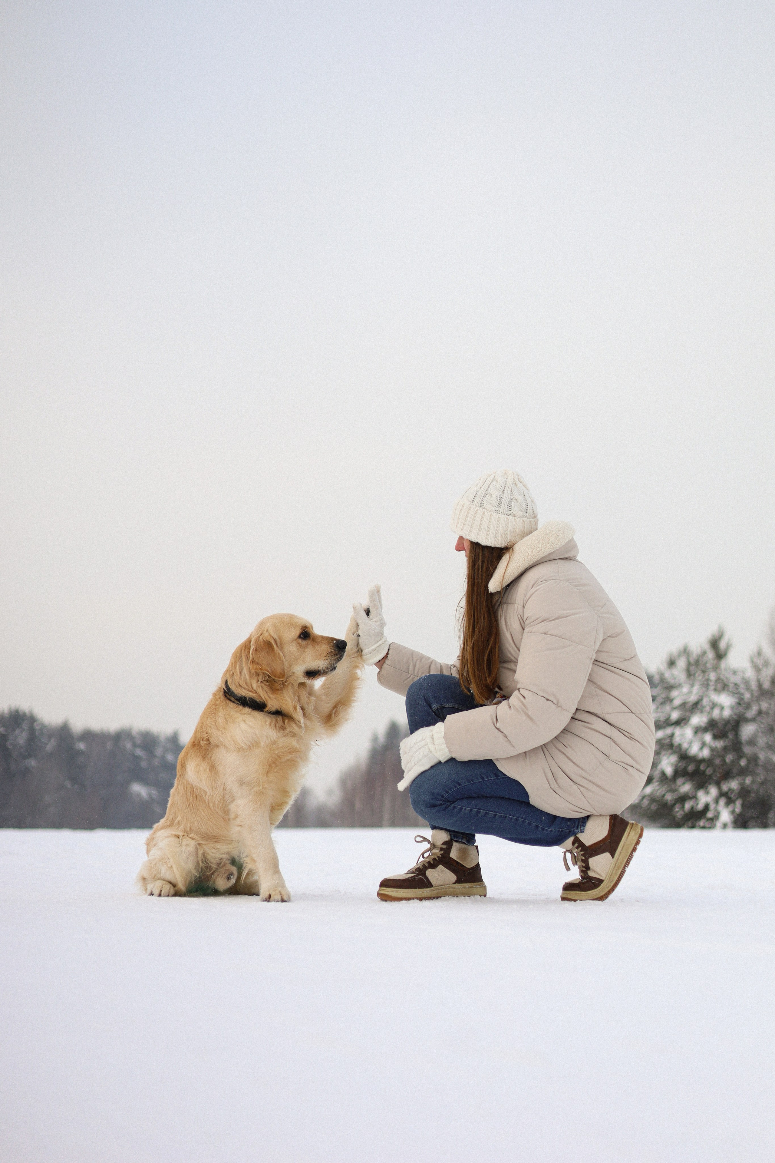 Стивен, Лена и Миша. Фотограф-анималист Ксения Шевцова|Москва