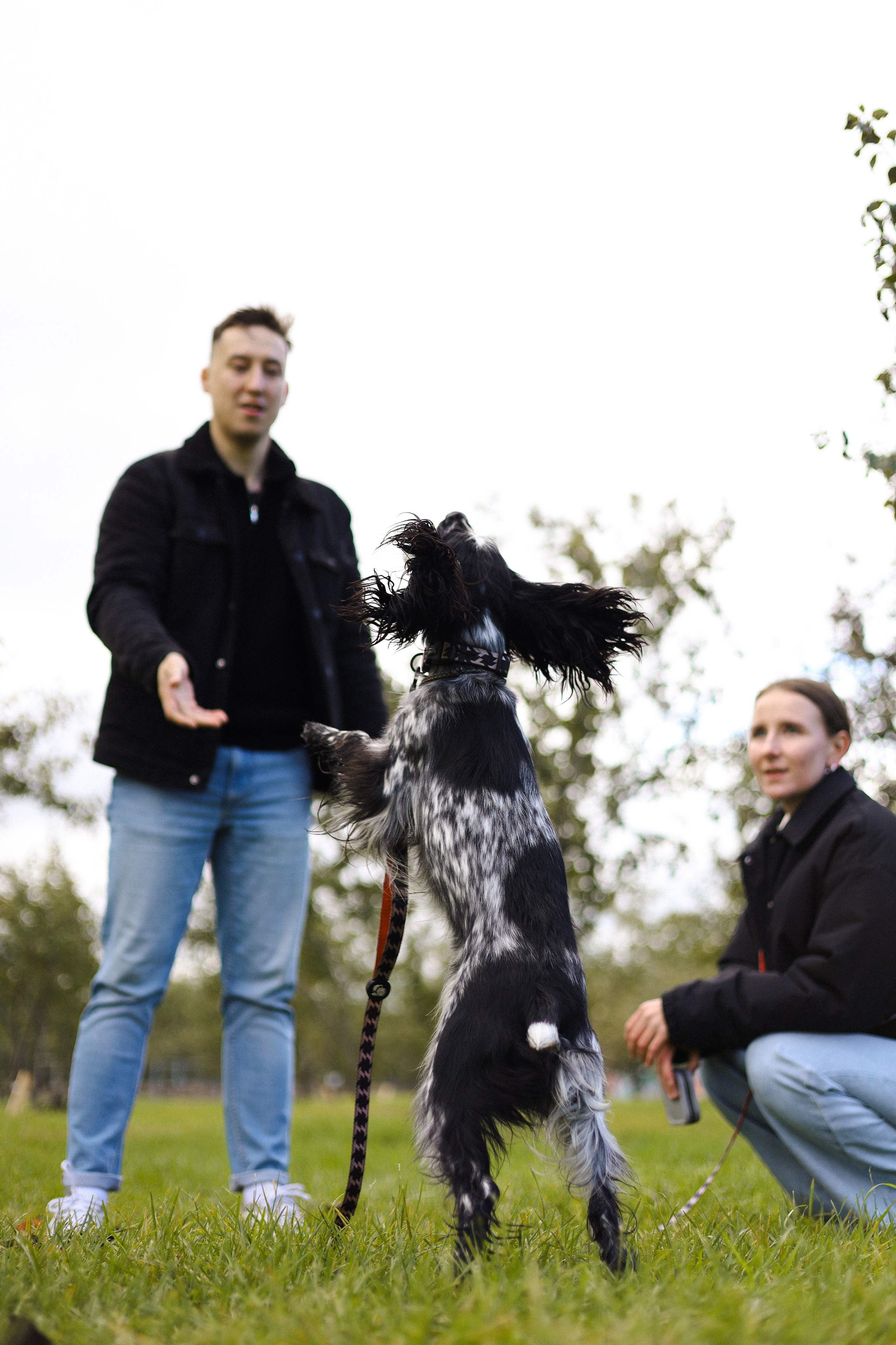 Милка, Вероника и Тимофей. Фотограф-анималист Ксения Шевцова|Москва