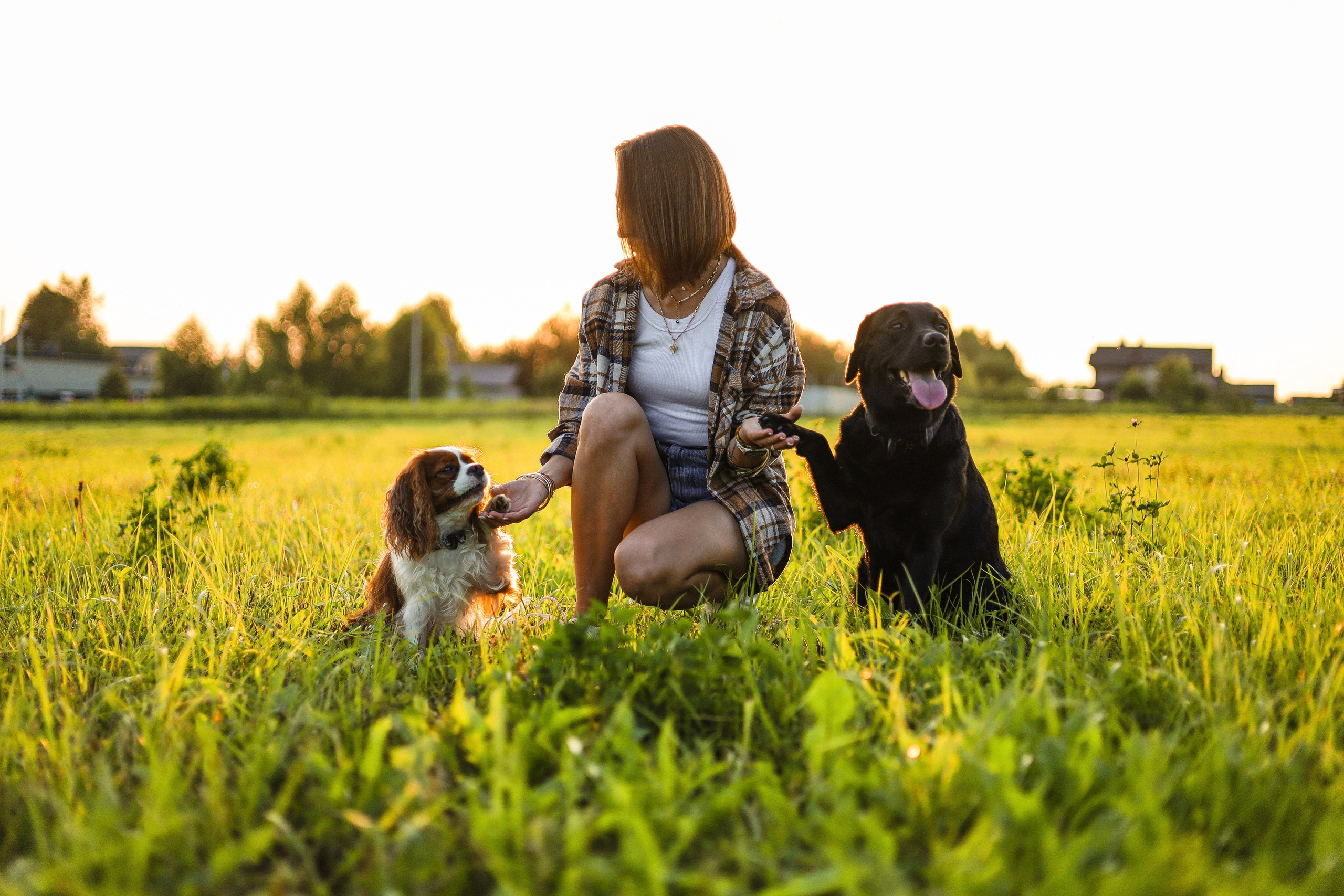 Бонни, Лея и Лера. Фотограф-анималист Ксения Шевцова|Москва