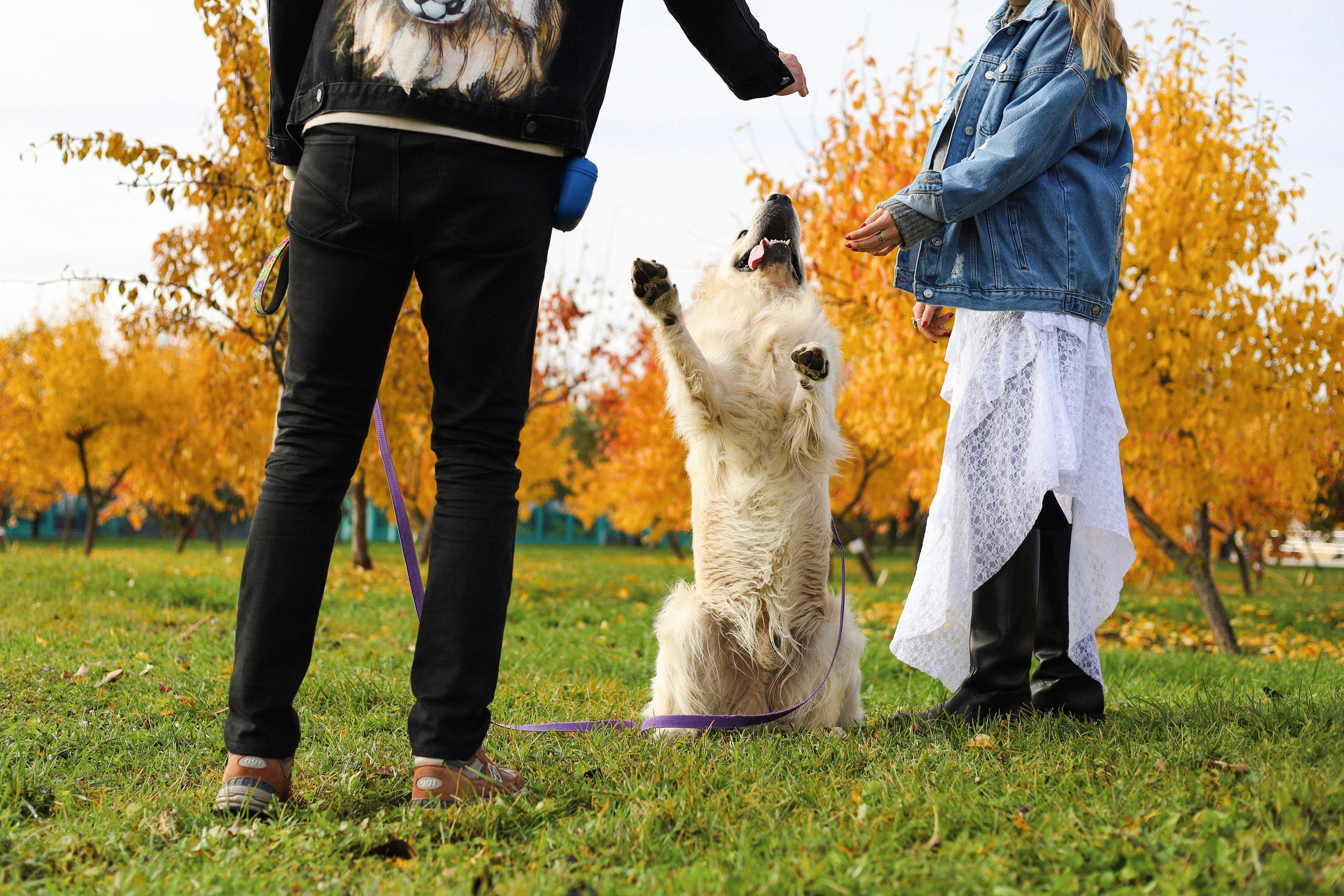 Фрэнк, Даша и Максим. Фотограф-анималист Ксения Шевцова|Москва