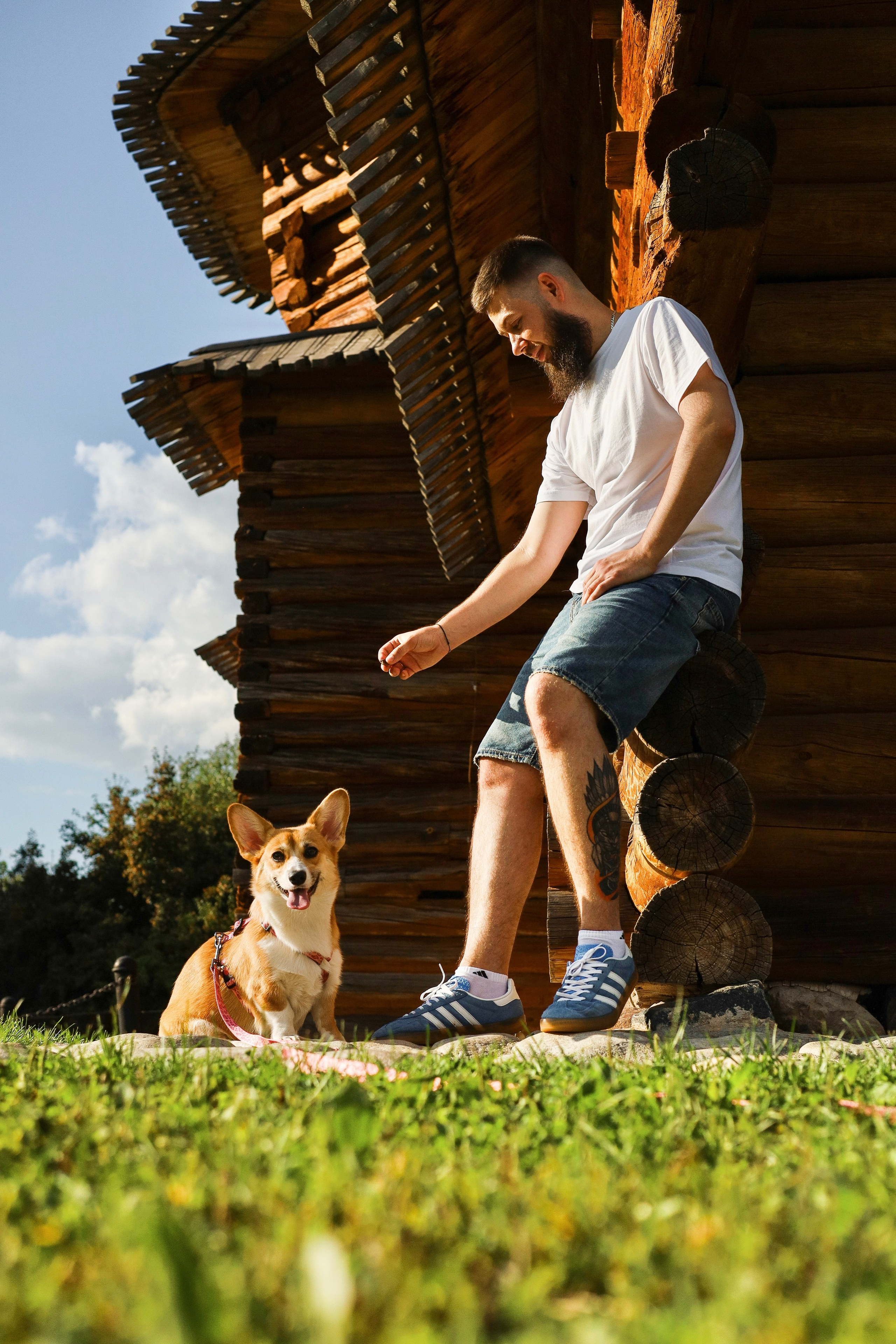 Эмили, Аня и Лёша. Фотограф-анималист Ксения Шевцова|Москва