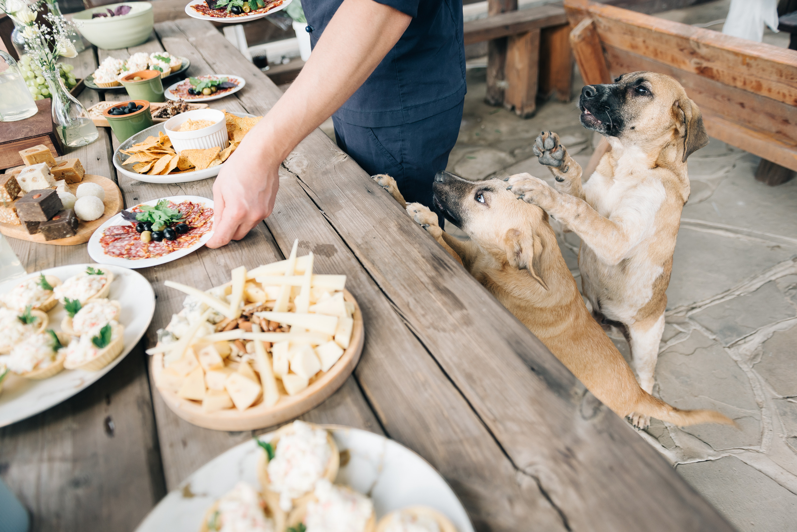 Марк и Екатерина. SARKISOPH | Фотограф Волгоград